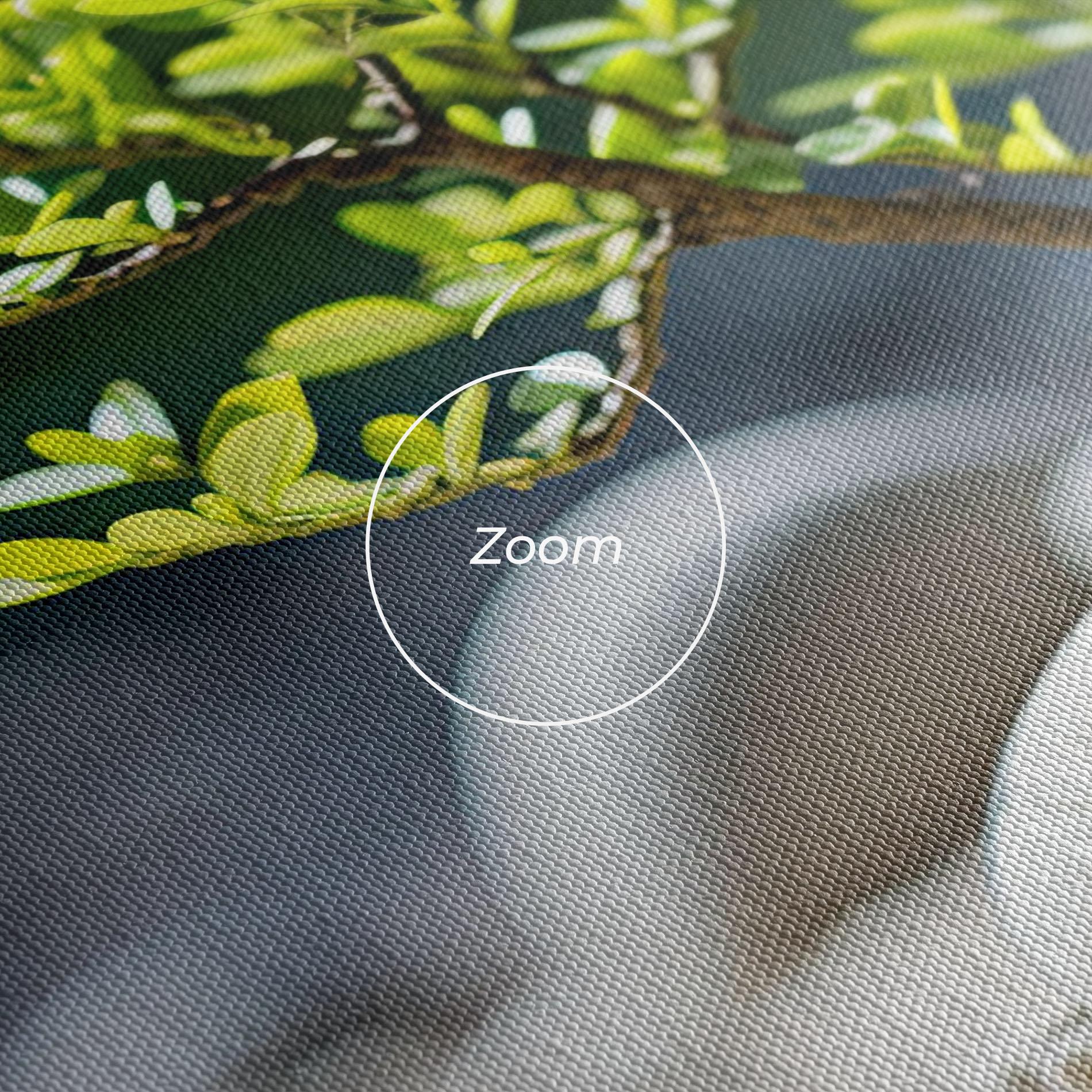 Vászonkép White Pebbles Plants mockup 3