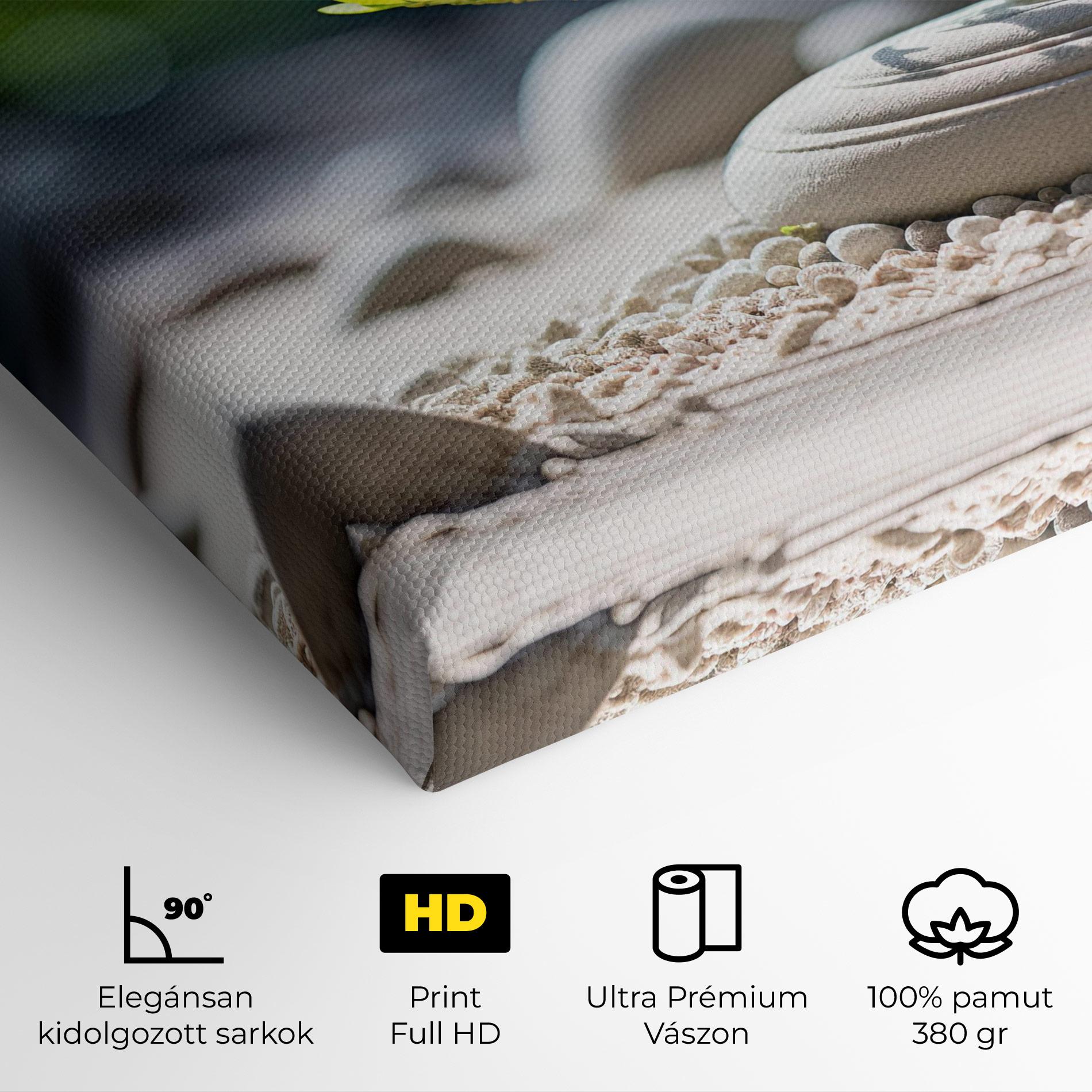 Vászonkép White Pebbles Plants mockup 4