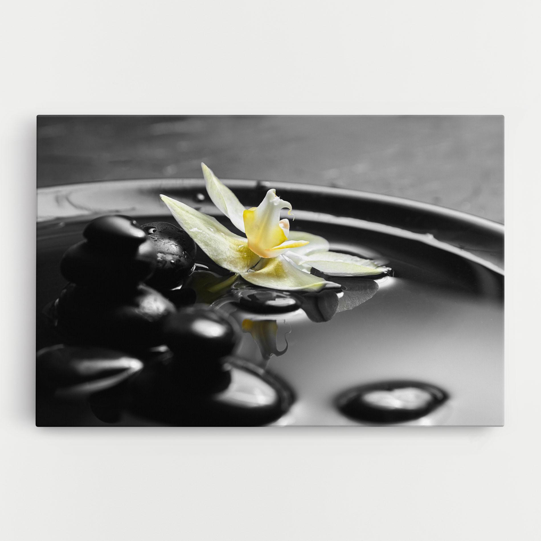 Vászonkép Pebbles Yellow Flower mockup 0