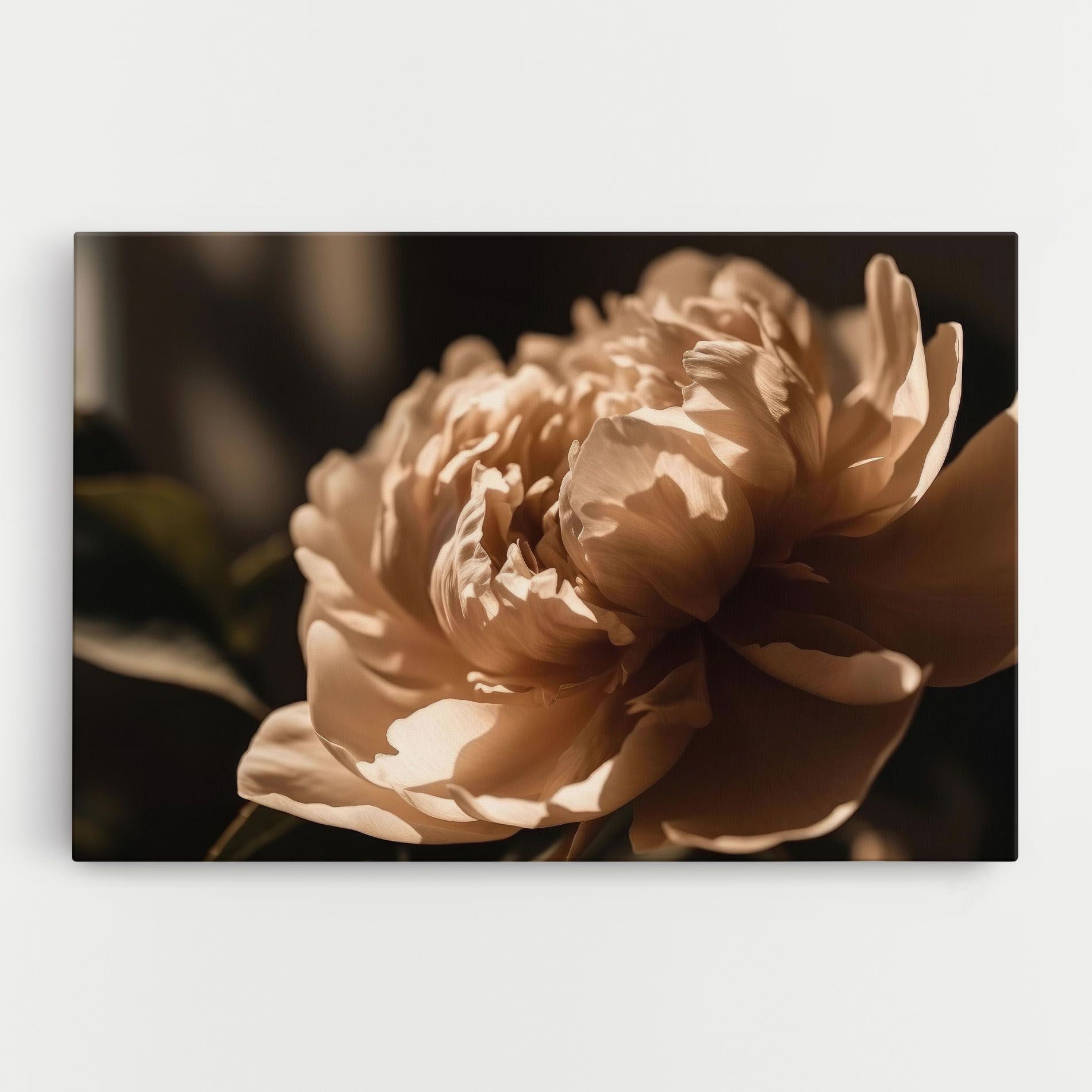 Cream Peony mockup 0