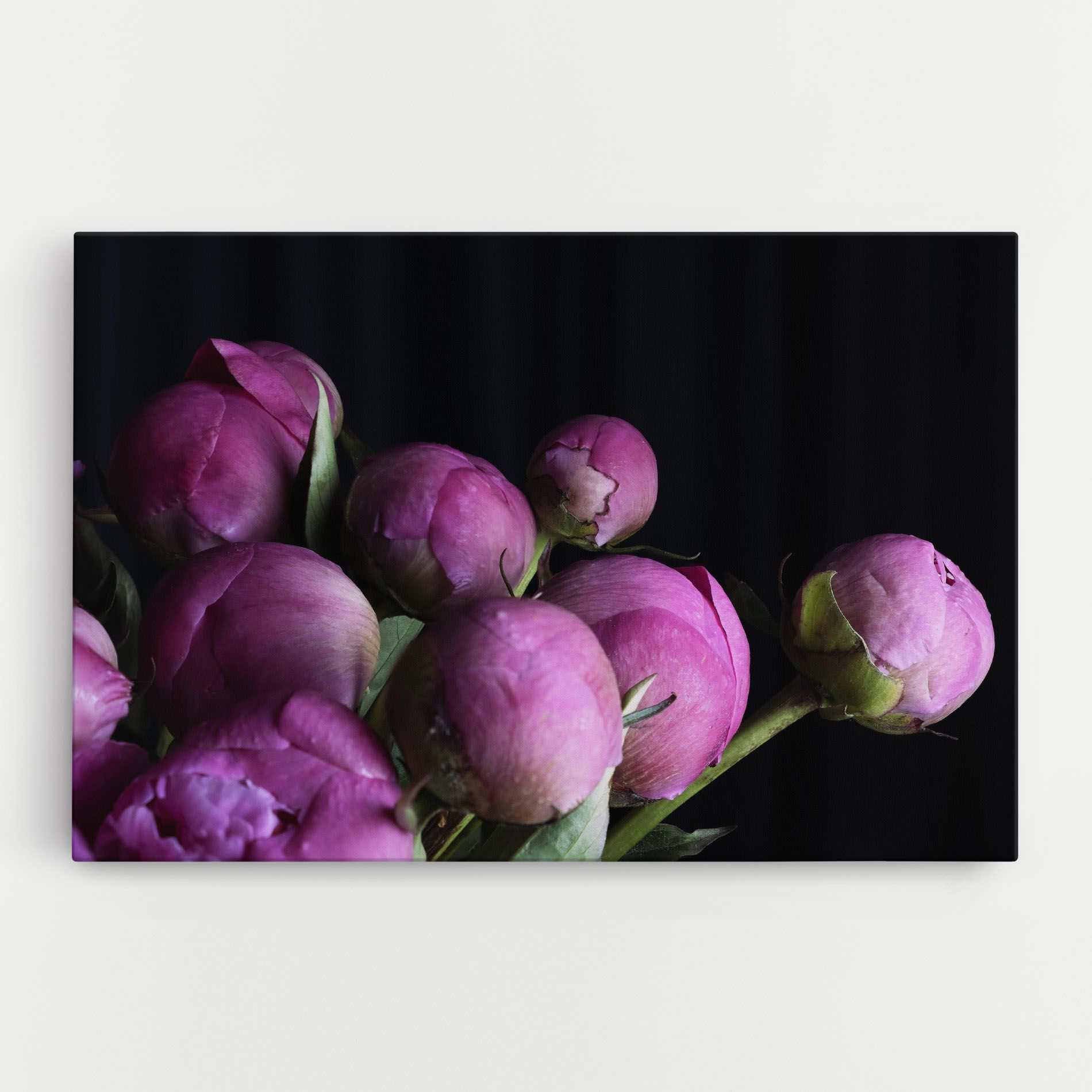 Peony Buds mockup 0