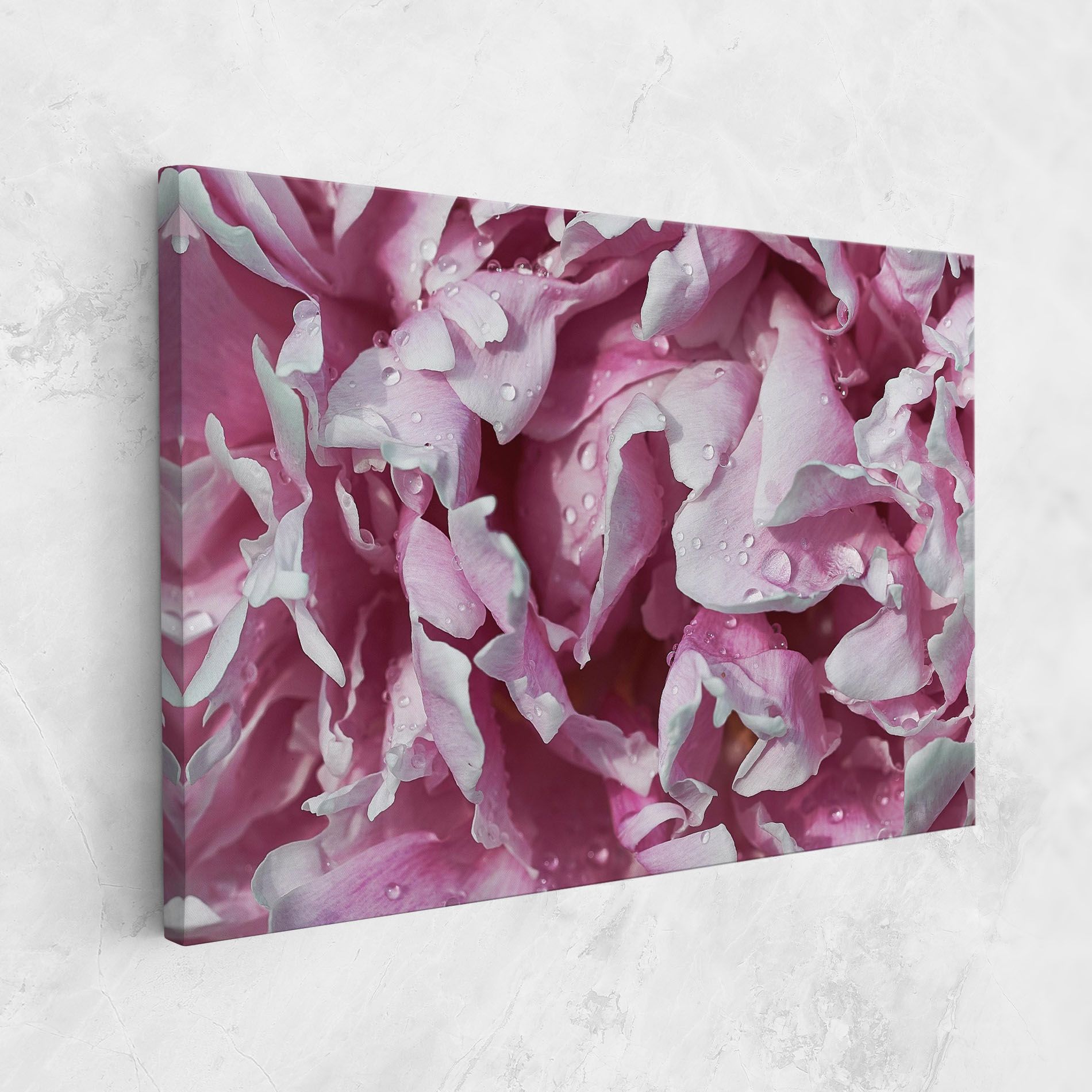 Peony Petals mockup 1
