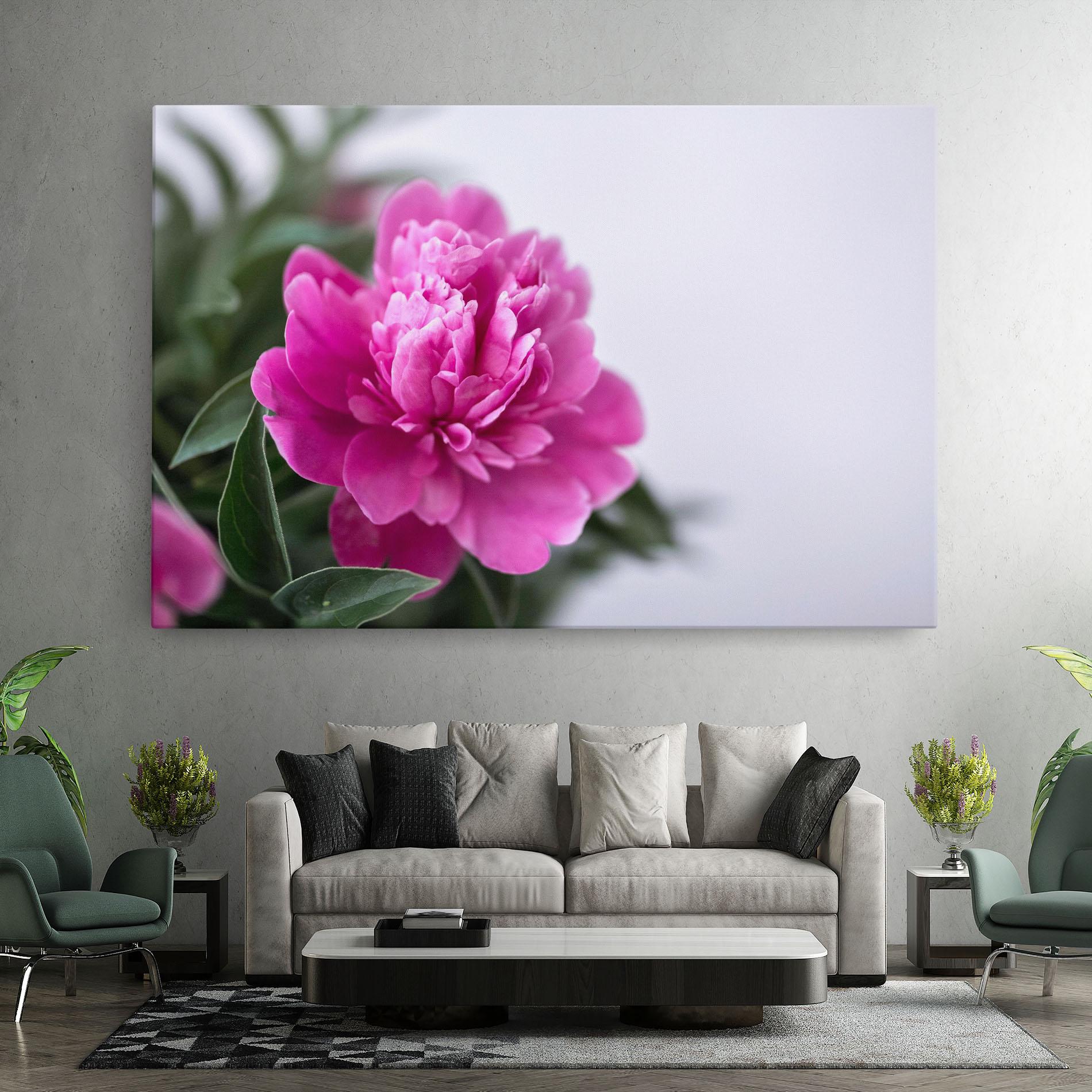 Vászonkép Dark Pink Peony mockup 7
