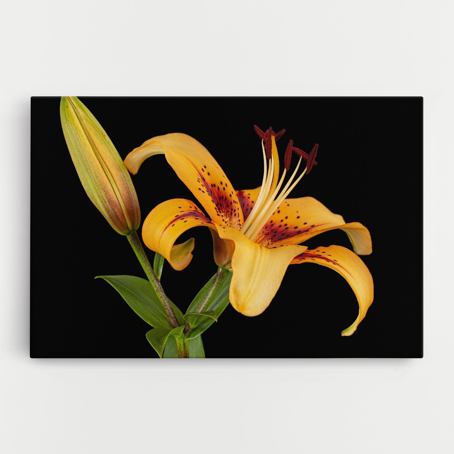 Vászonkép Beautiful Yellow Lily mockup 0