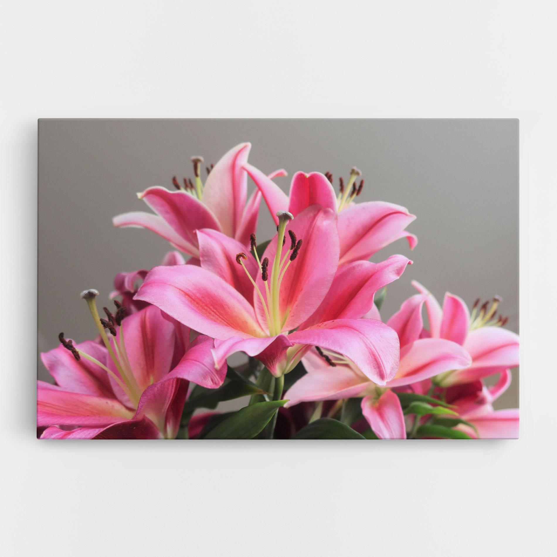 Vászonkép Light Pink Lily View mockup 0