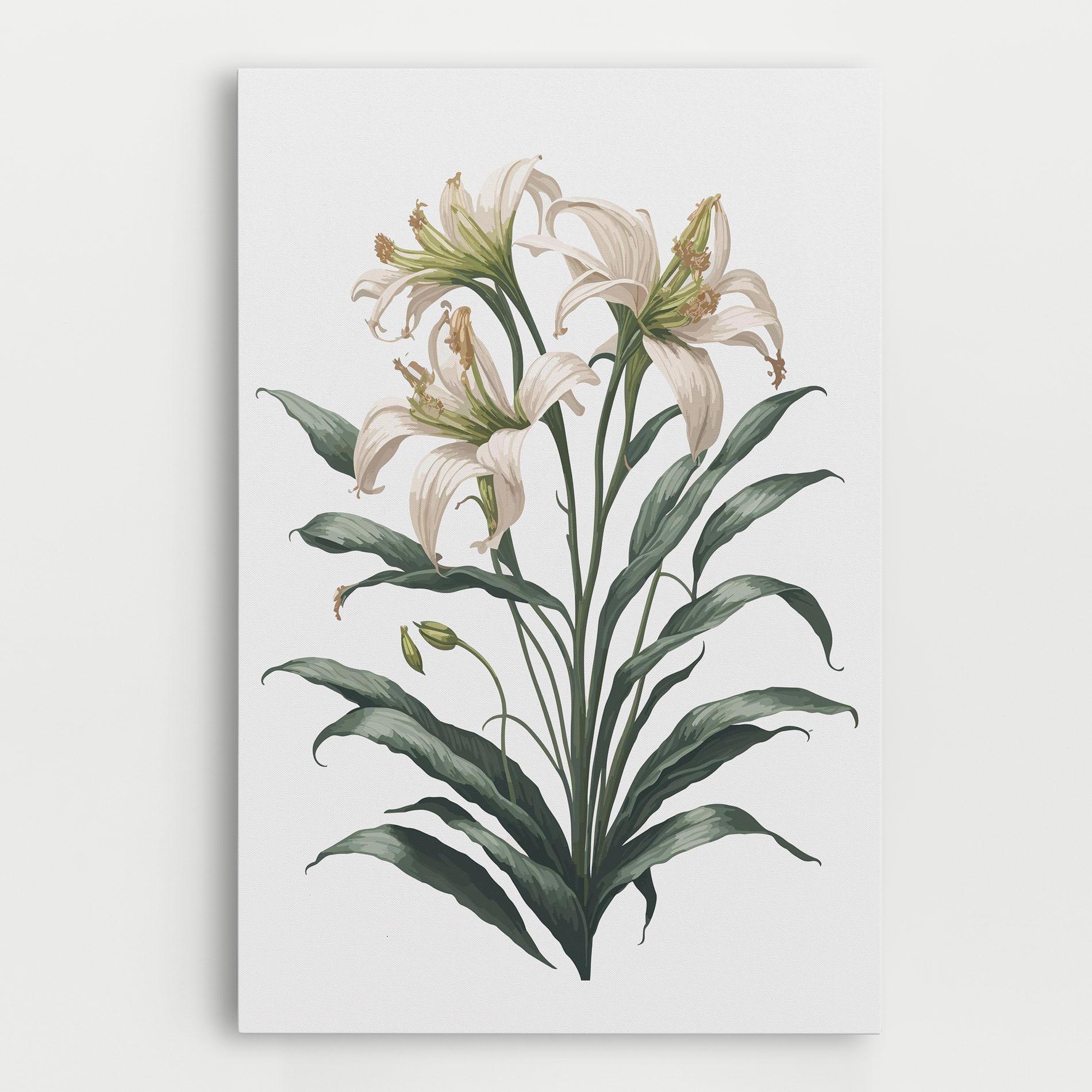 Vászonkép Columbia Lily mockup 0