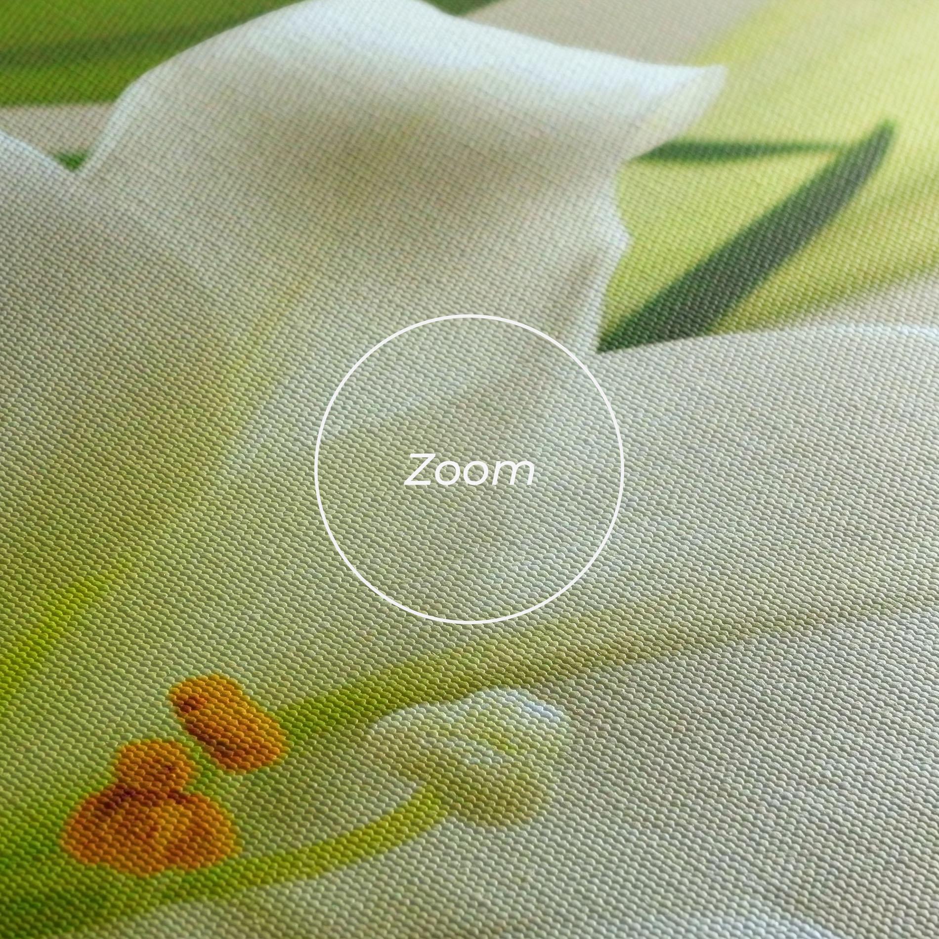 Vászonkép Green Lily mockup 3