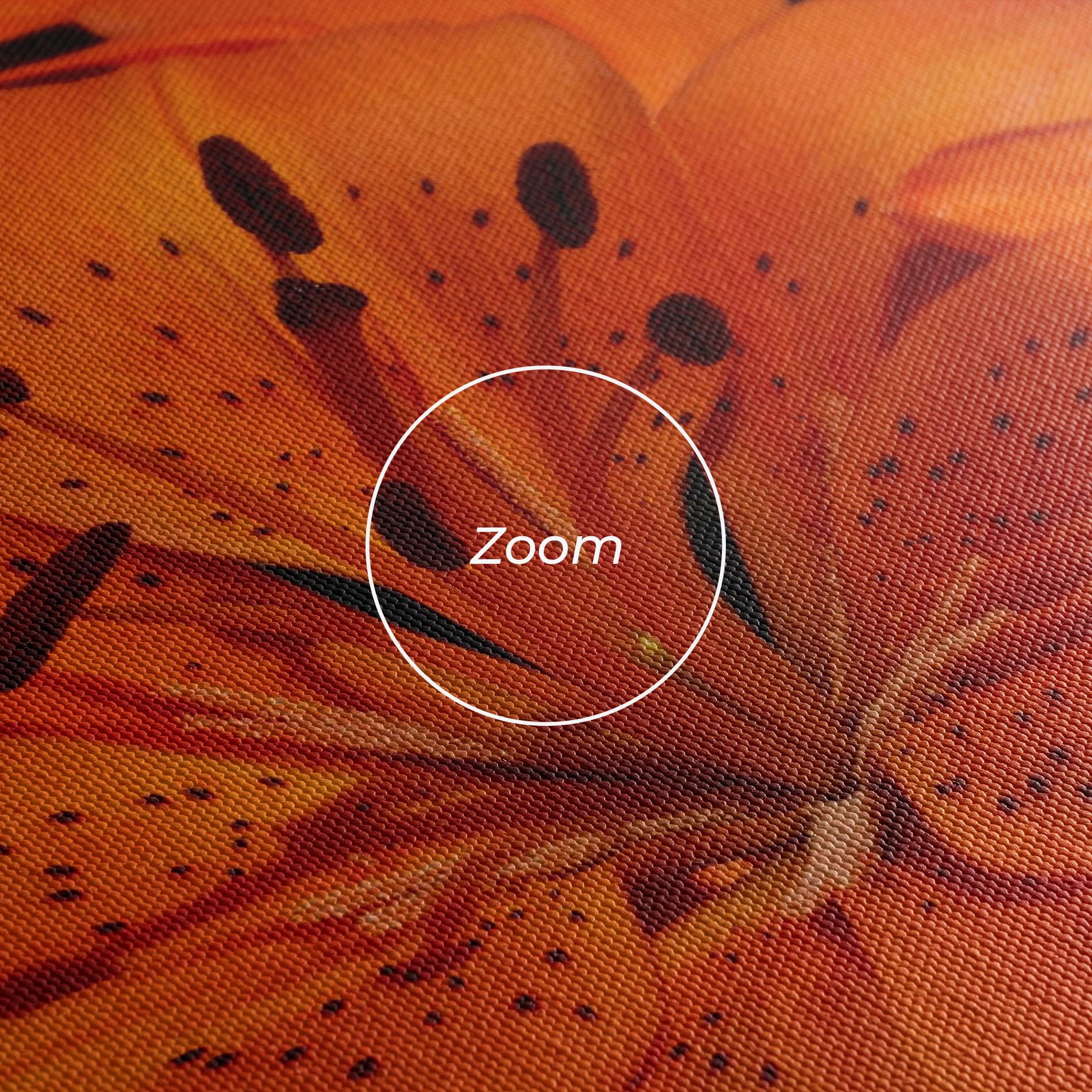 Vászonkép Orange Lily In The Sun mockup 3
