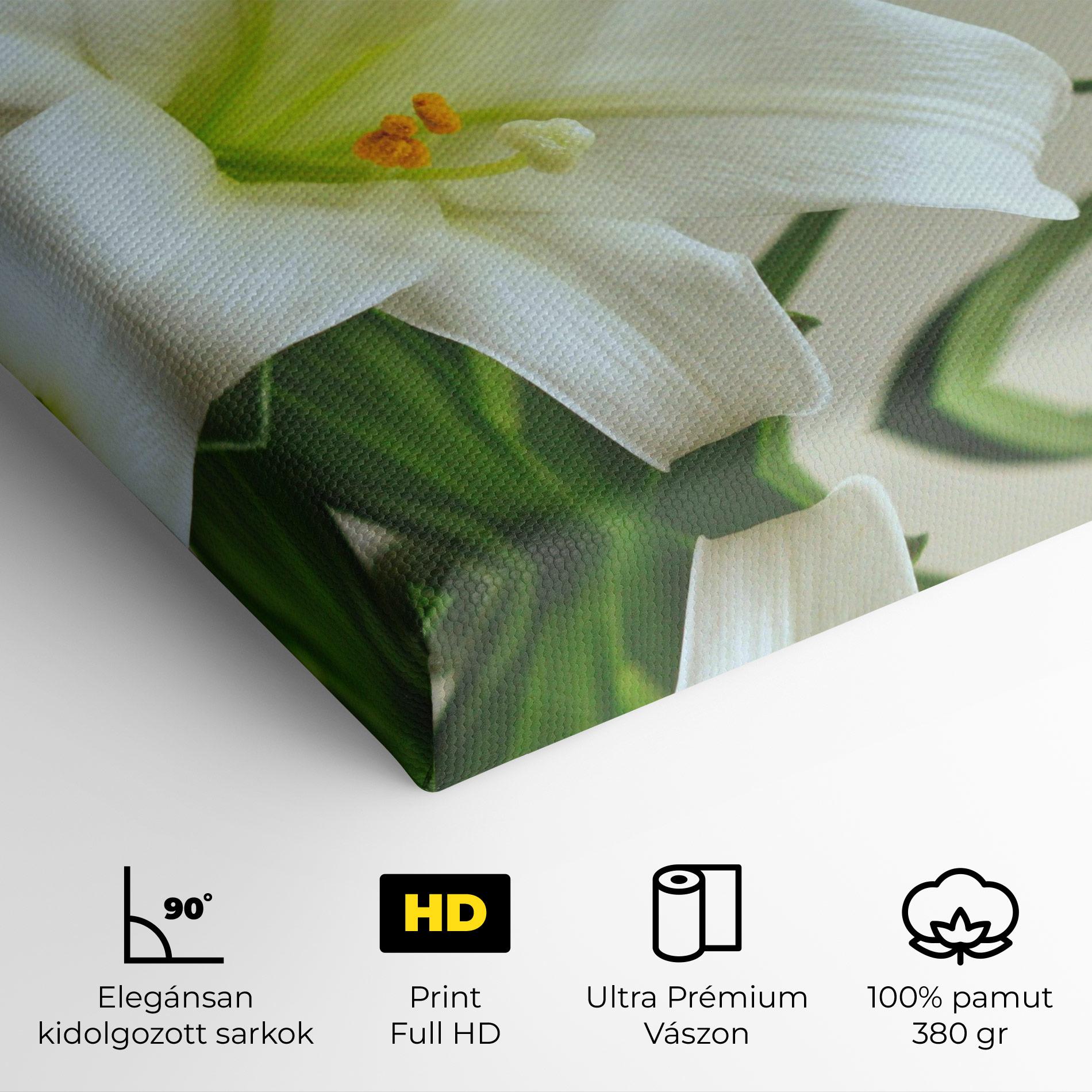Vászonkép Green Lily mockup 4