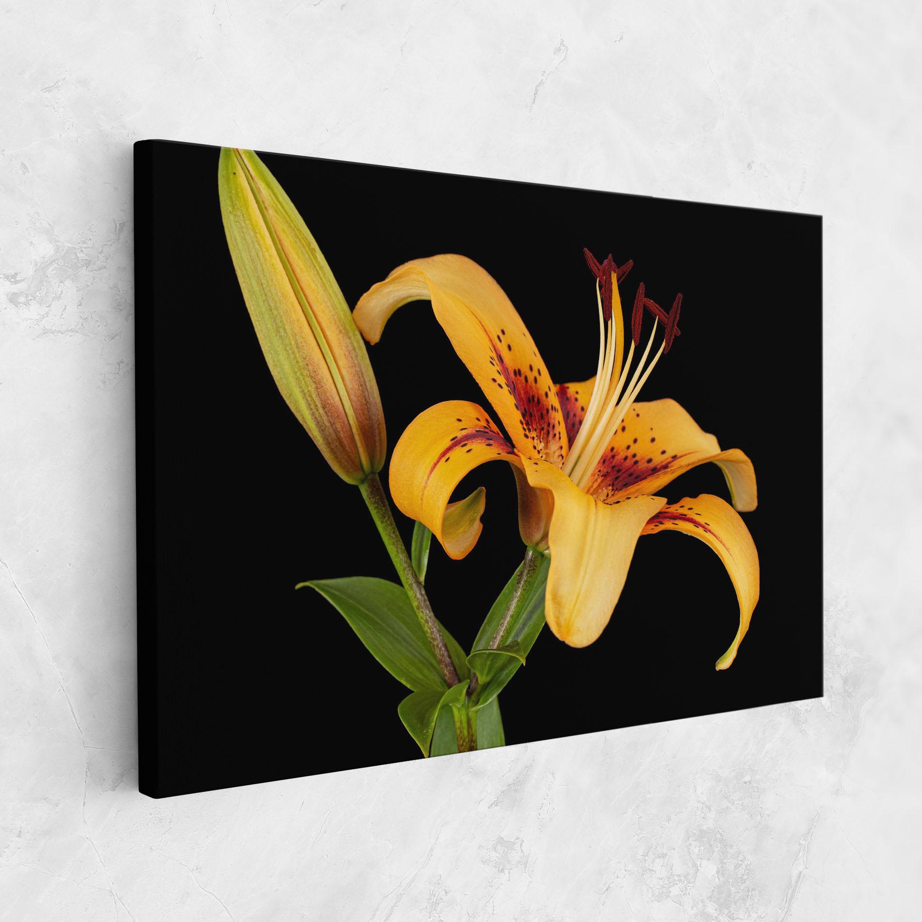Vászonkép Beautiful Yellow Lily mockup 1