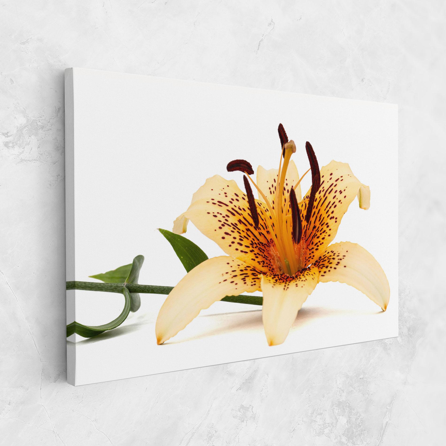 Vászonkép Big Yellow Lily mockup 1