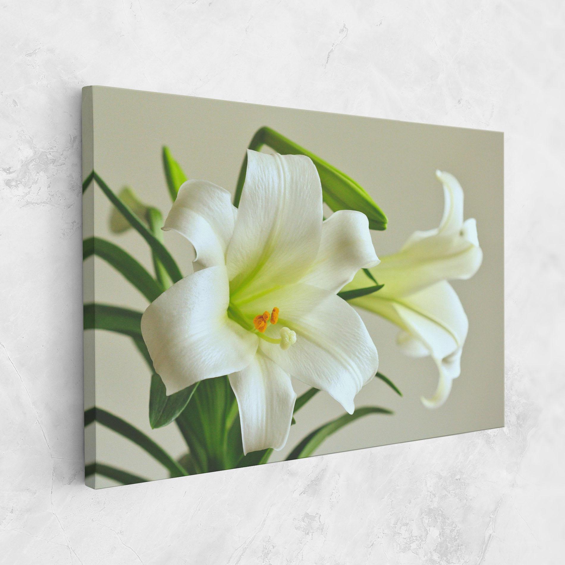 Vászonkép Green Lily mockup 1