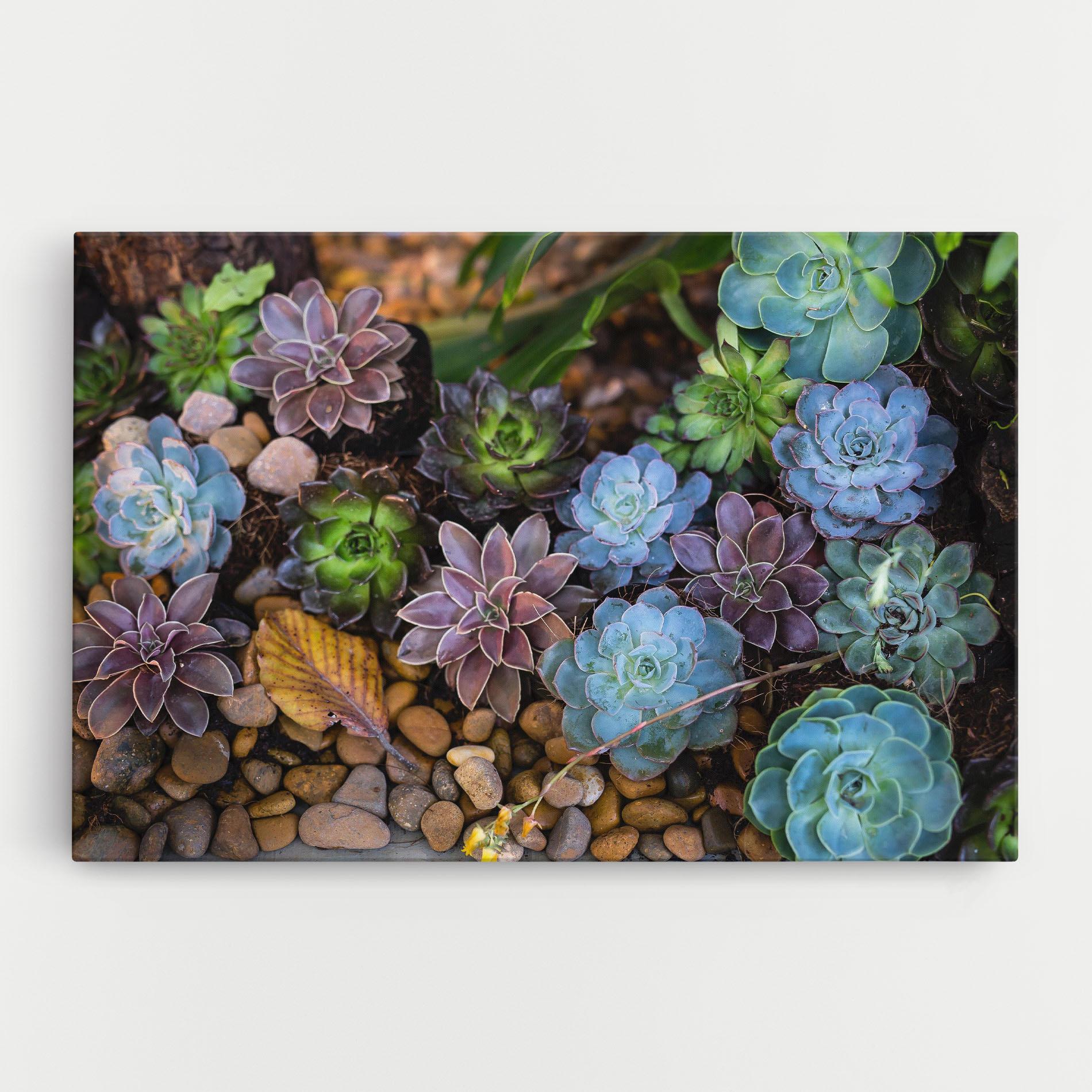 Vászonkép Colorful Flowers mockup 0