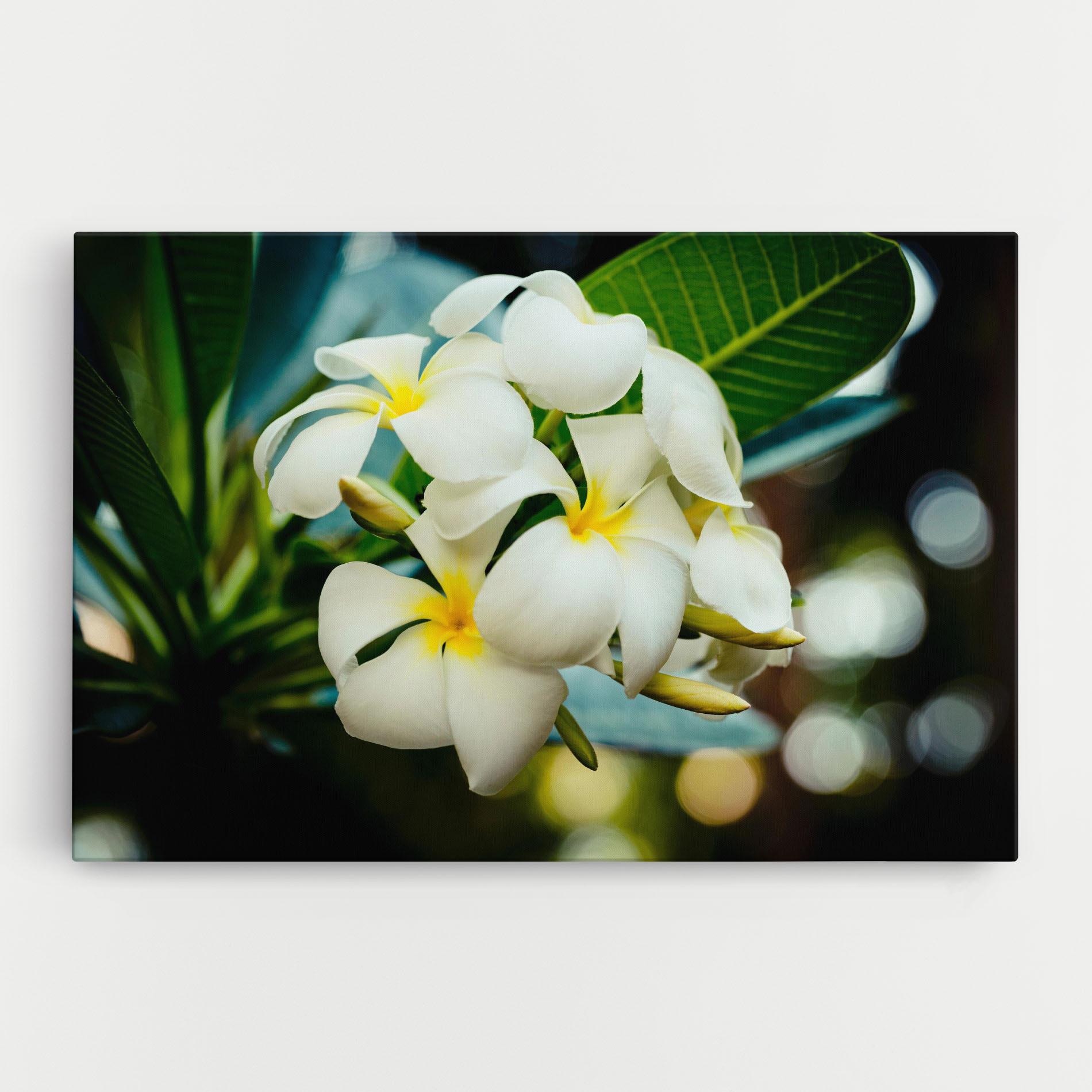 Vászonkép Beautiful White Exotic mockup 0