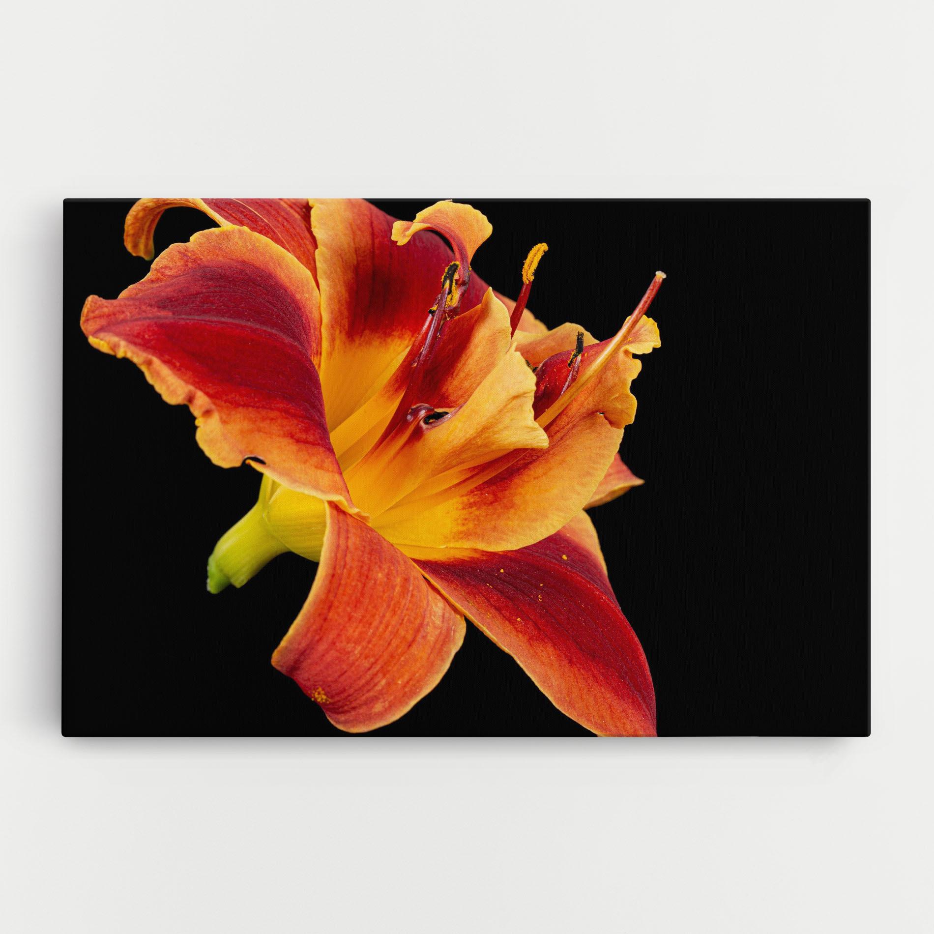 Vászonkép Exotic Orange Red mockup 0