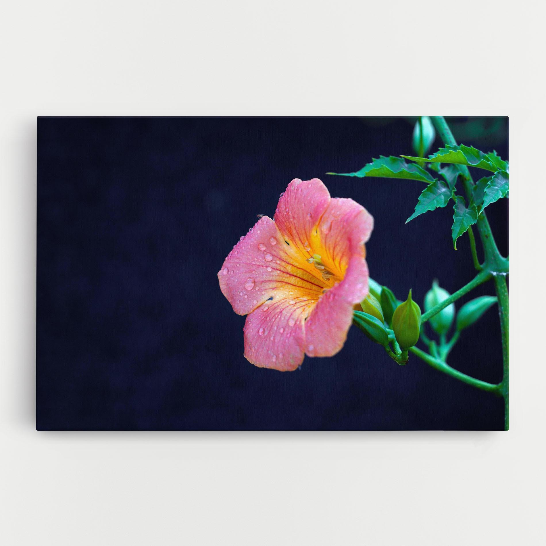 Vászonkép Exotic Pink Plant mockup 0