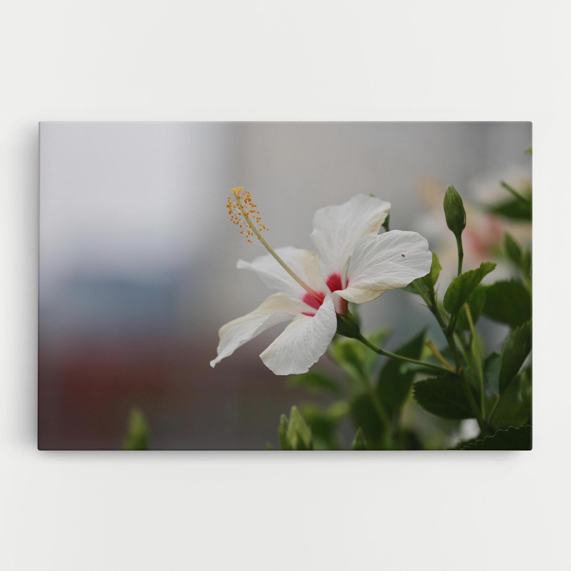 Vászonkép Exotic White Flower mockup 0