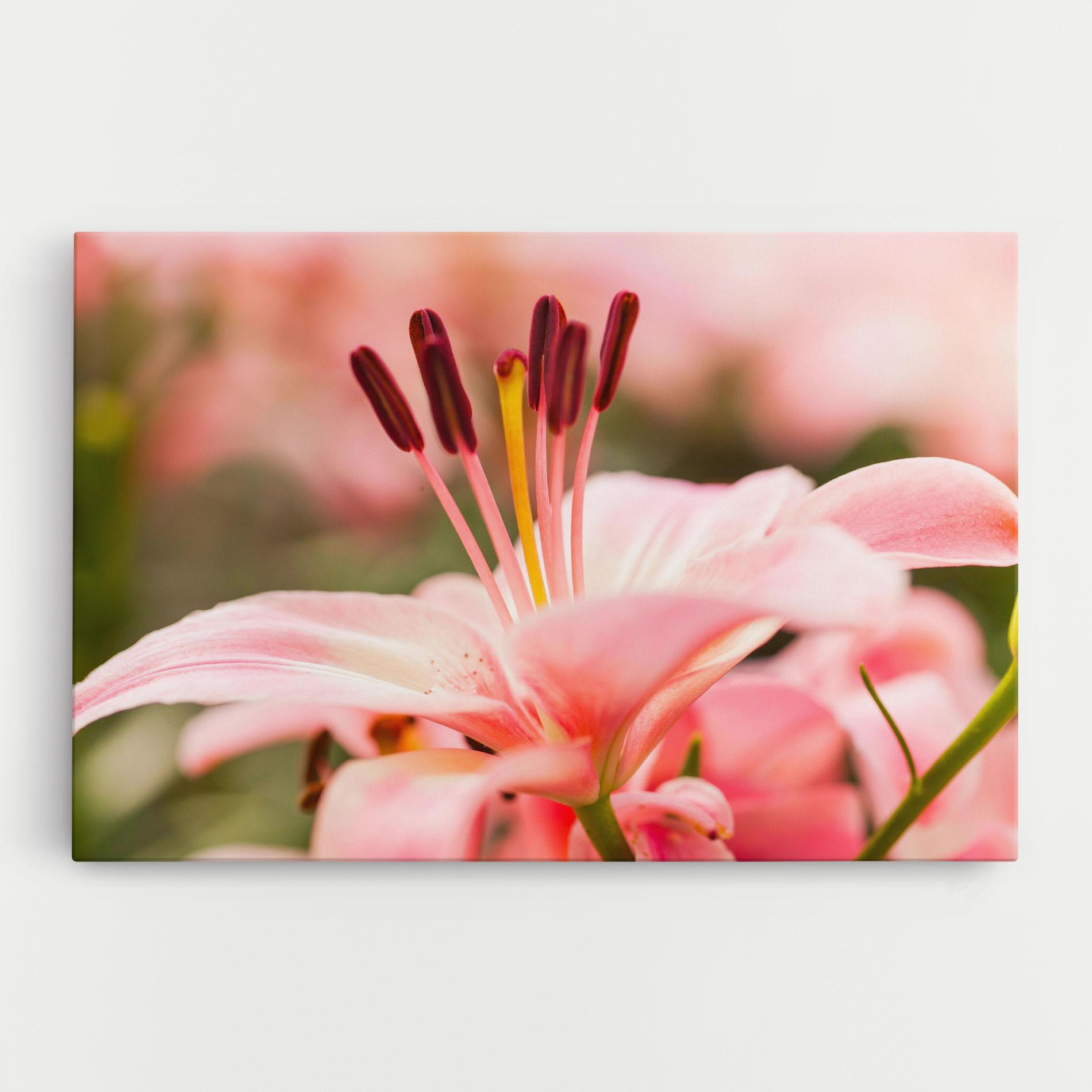 Vászonkép Flower mockup 0