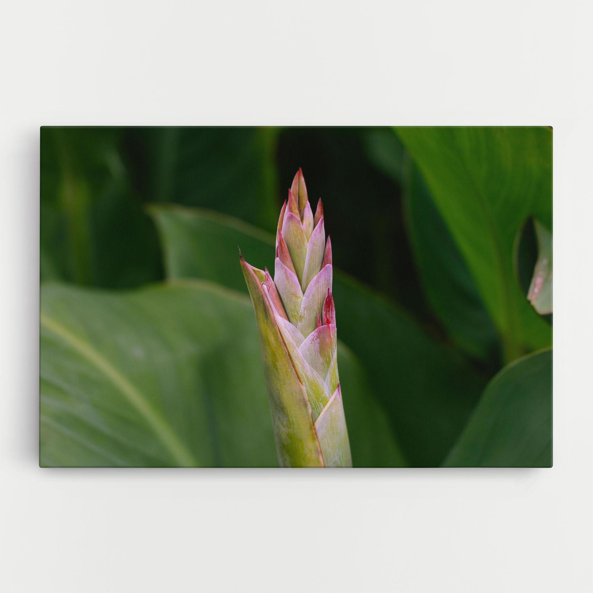 Vászonkép Light Pink Exotic mockup 0