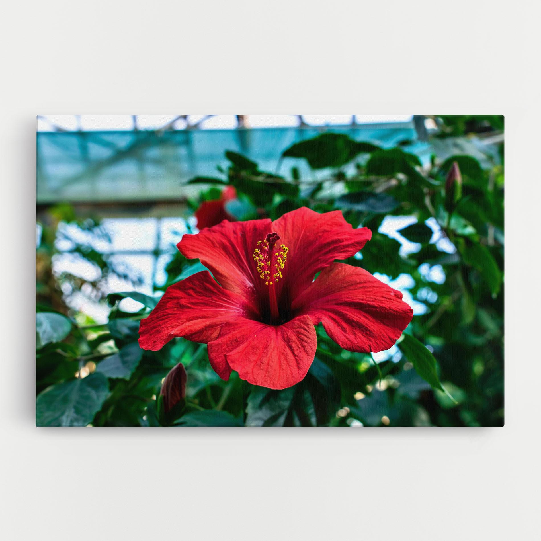 Vászonkép Red Exotic Plant mockup 0