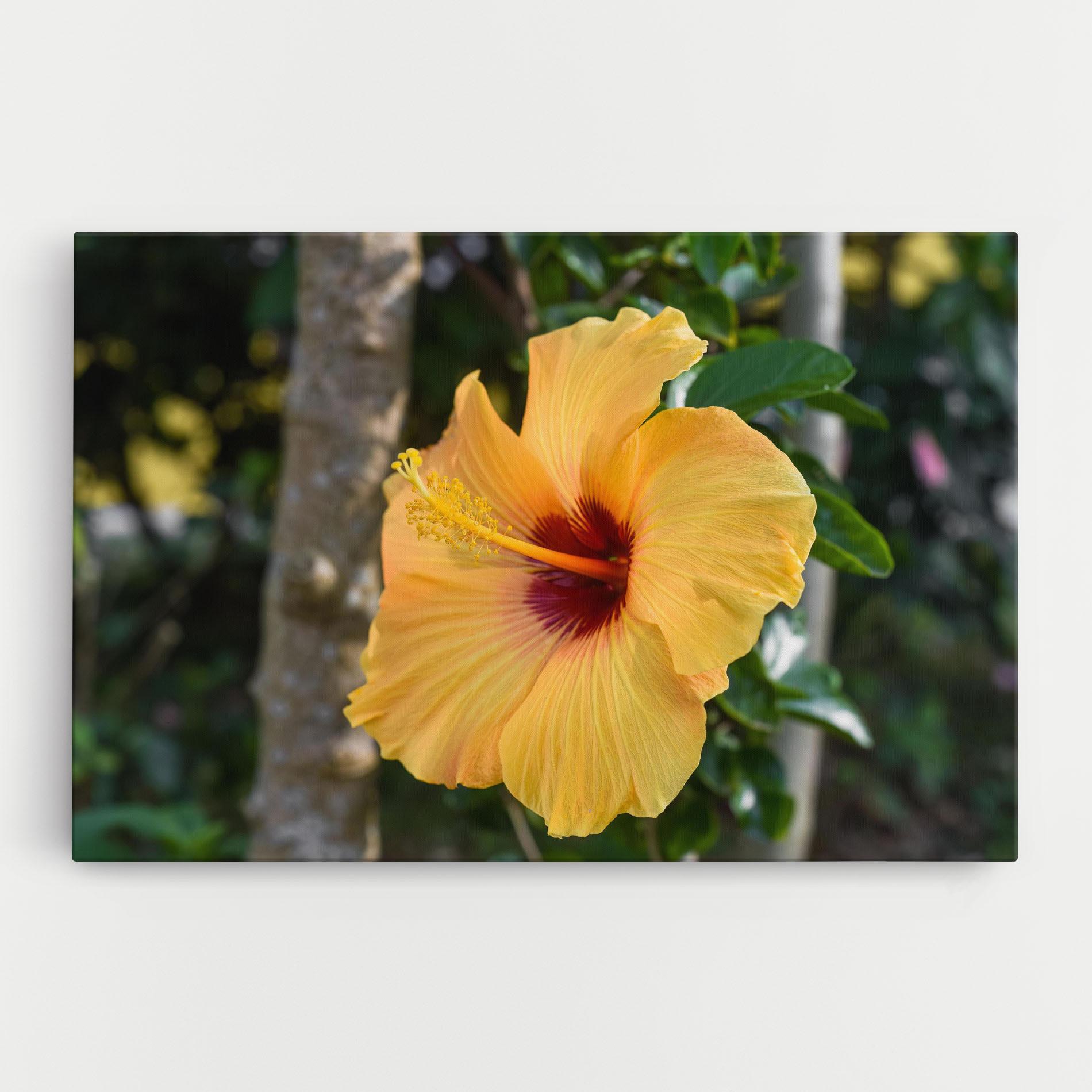 Vászonkép Yellow Hibiscus mockup 0