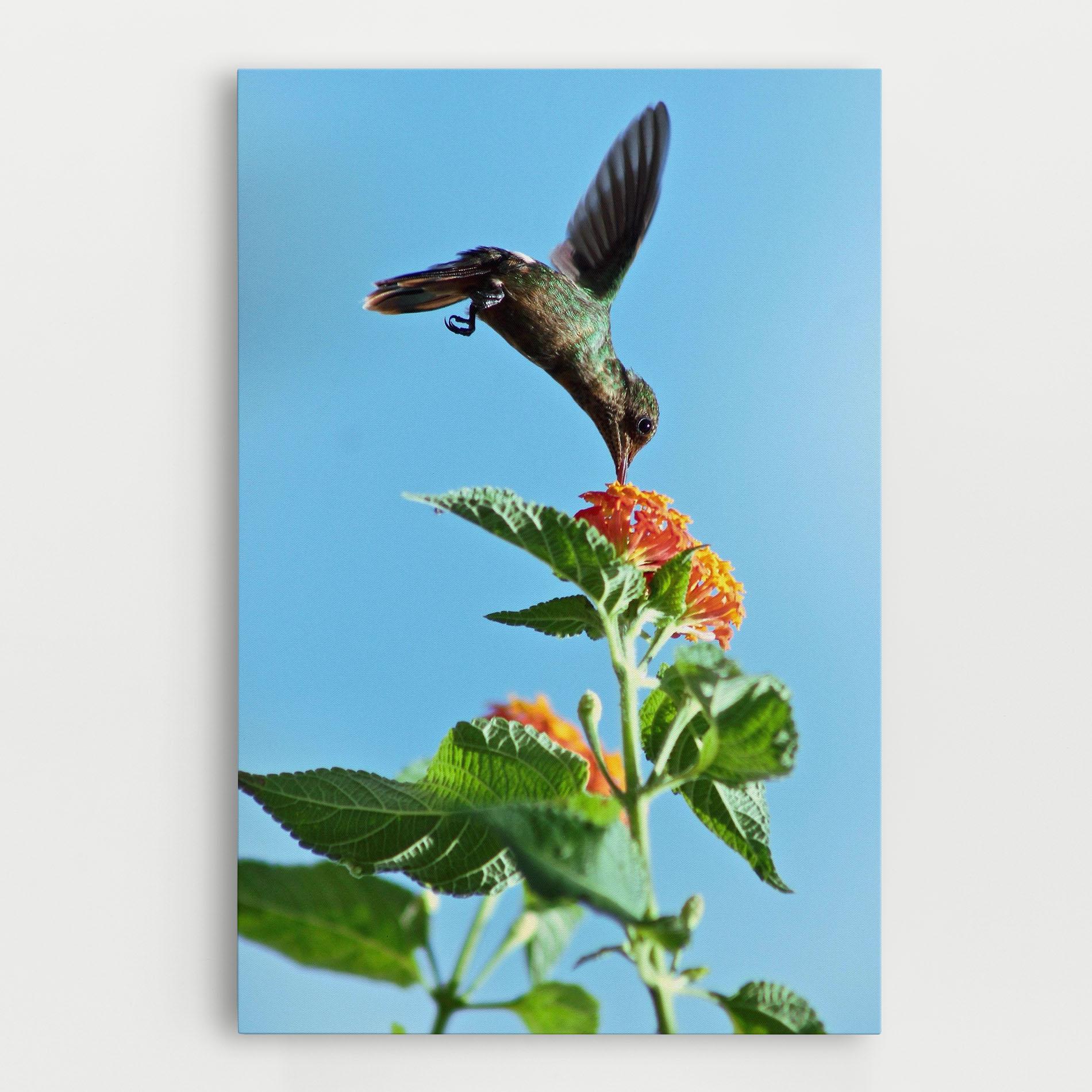 Vászonkép Bird Exotic Flower mockup 0