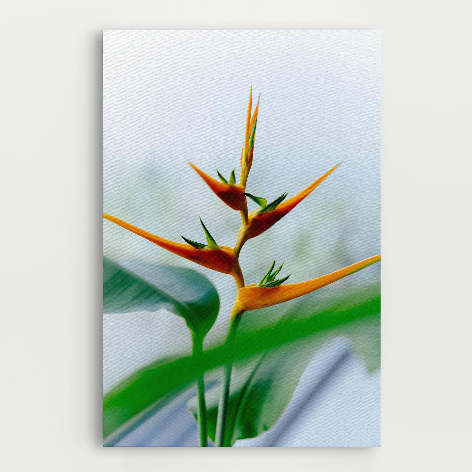 Vászonkép Exotic Orange Green mockup 0