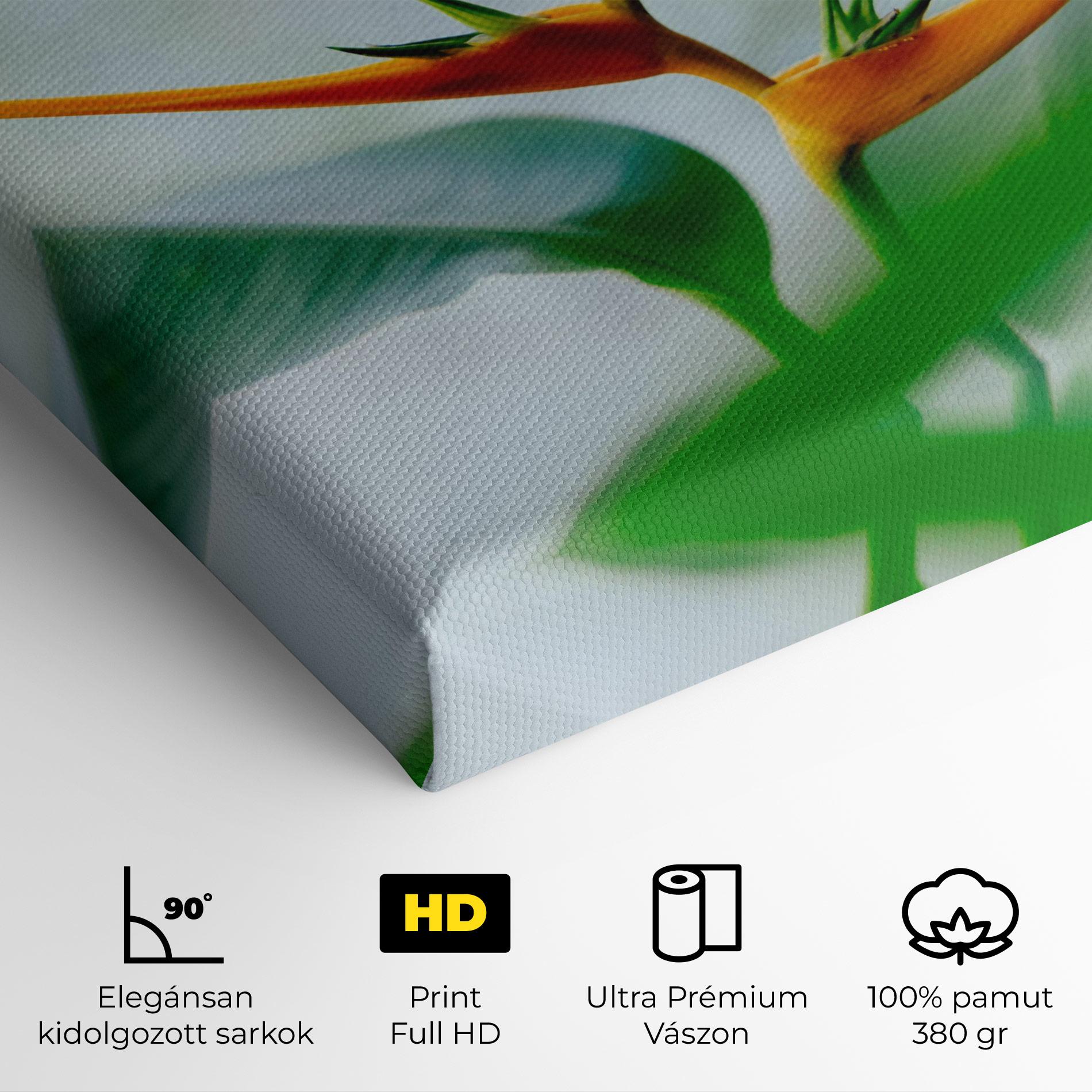 Vászonkép Exotic Orange Green mockup 4