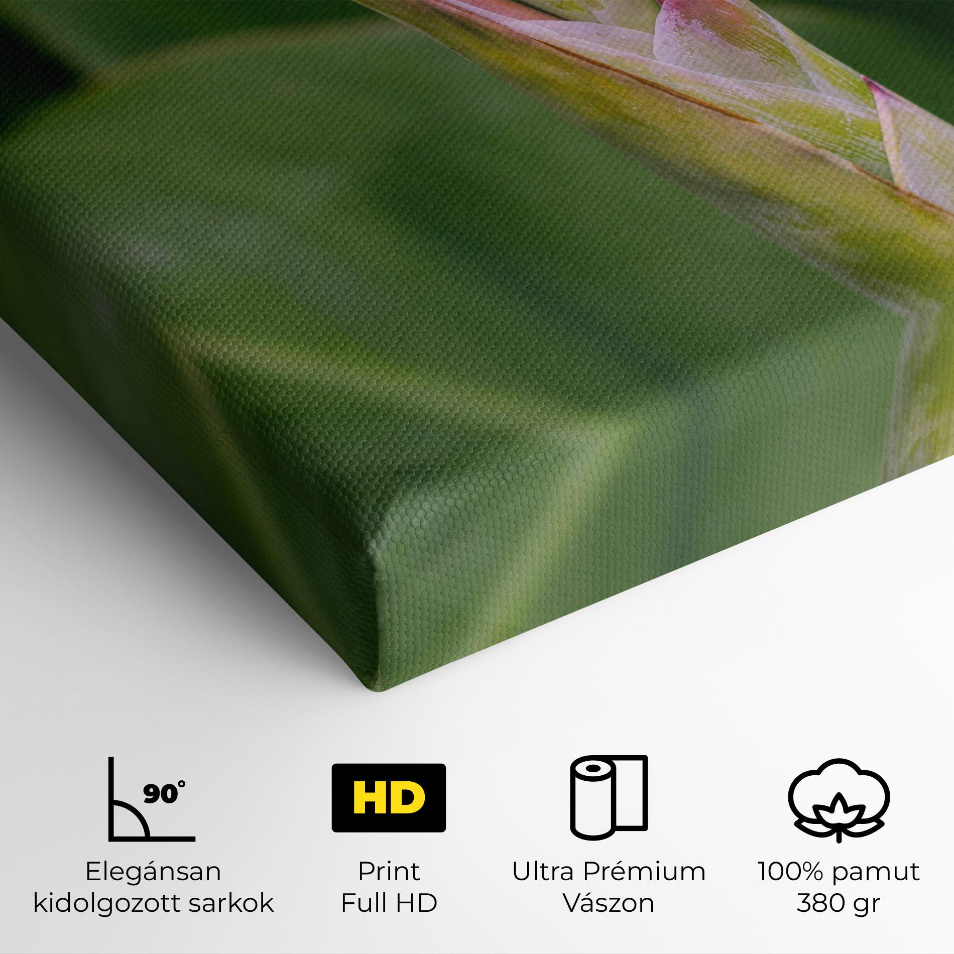 Vászonkép Light Pink Exotic mockup 4