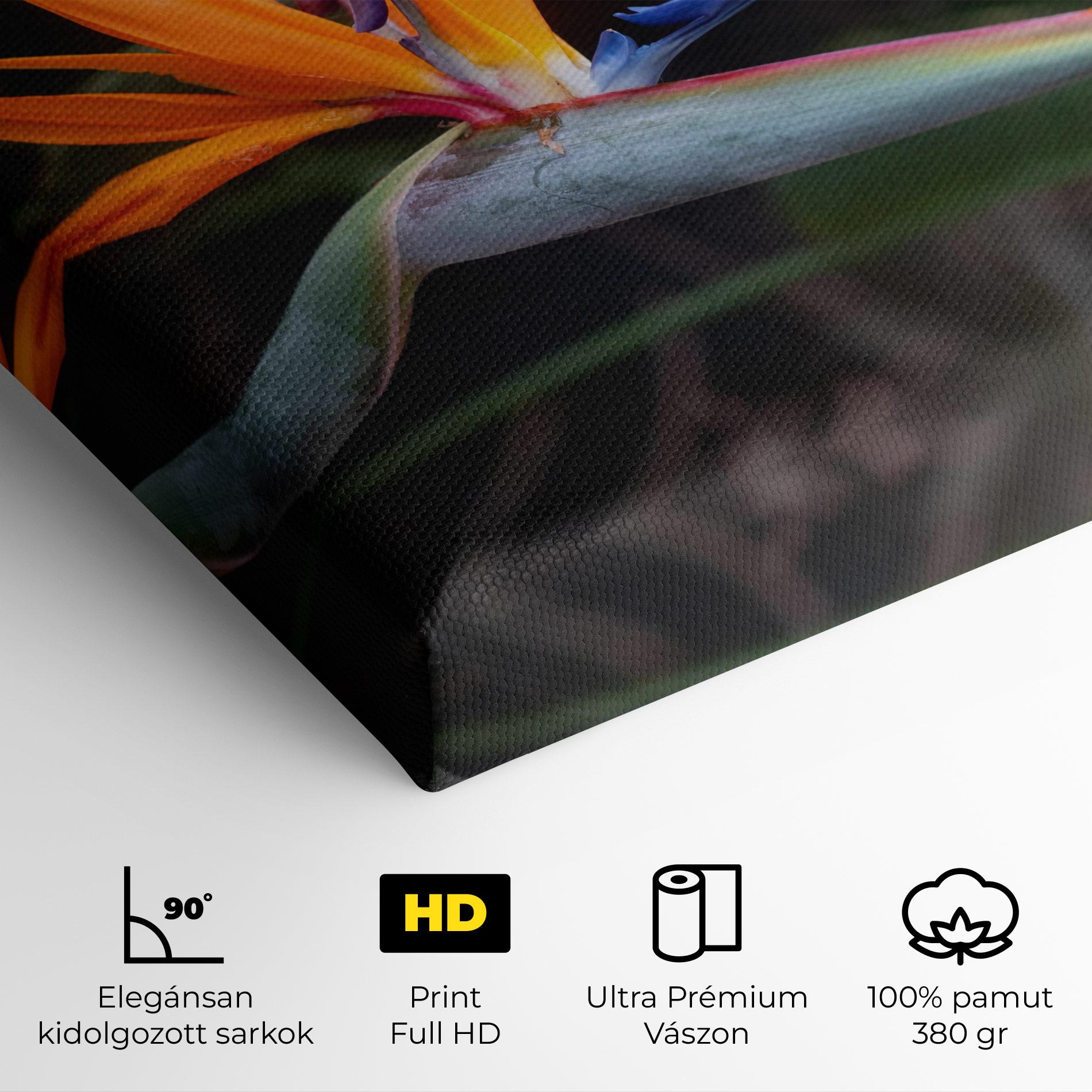 Vászonkép Paradise Plant mockup 4