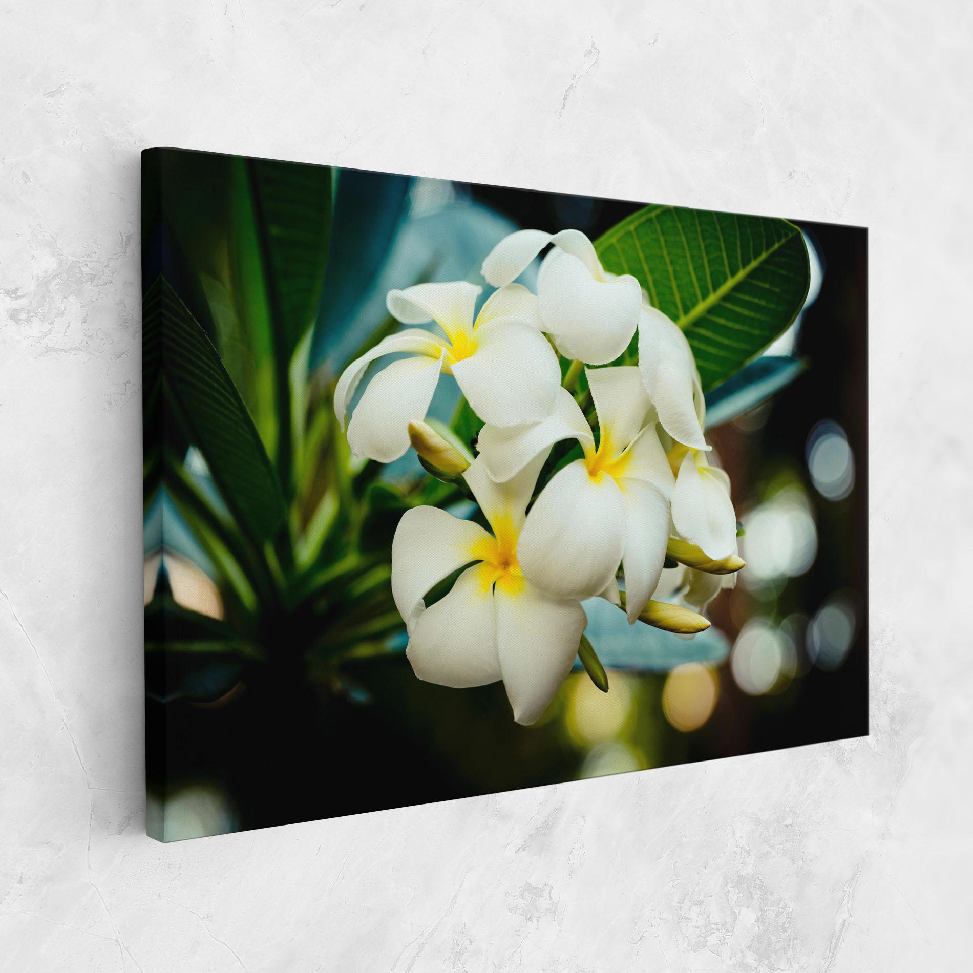 Vászonkép Beautiful White Exotic mockup 1