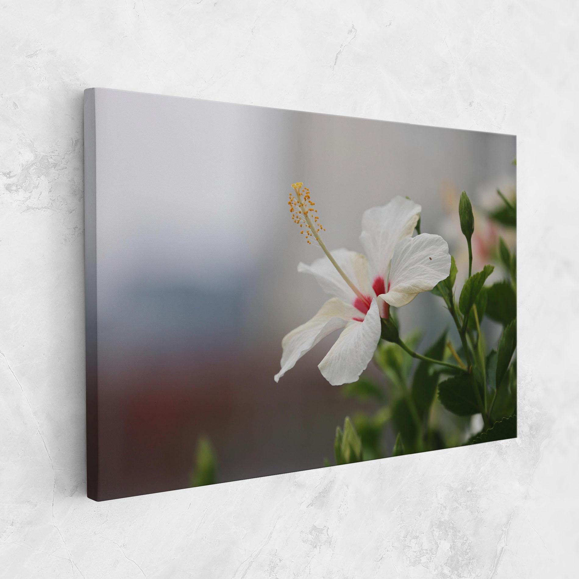 Vászonkép Exotic White Flower mockup 1