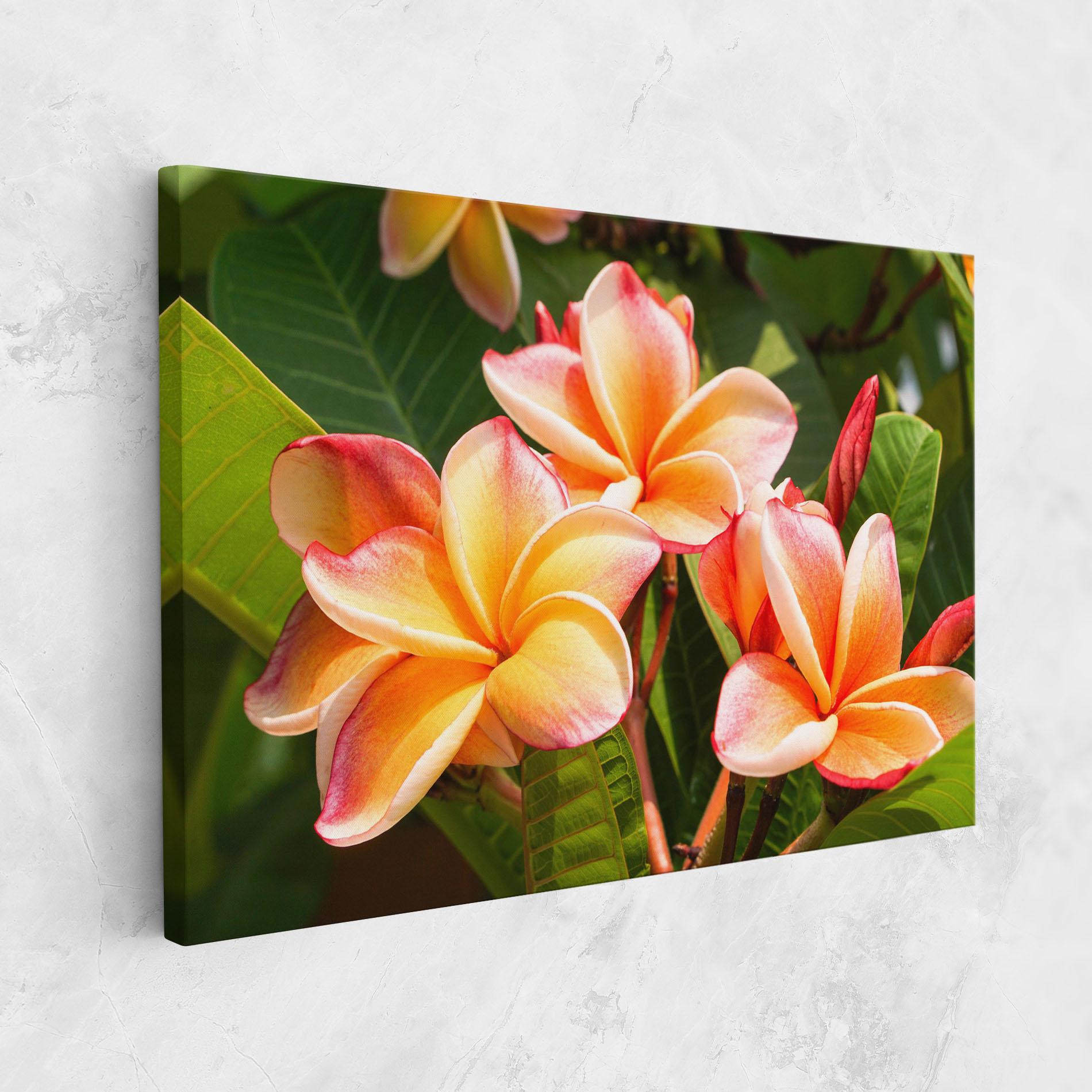 Vászonkép Pretty Plumeria mockup 1