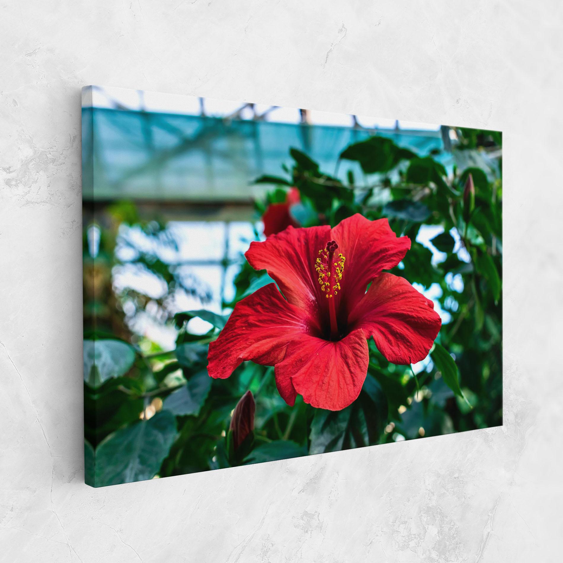 Vászonkép Red Exotic Plant mockup 1