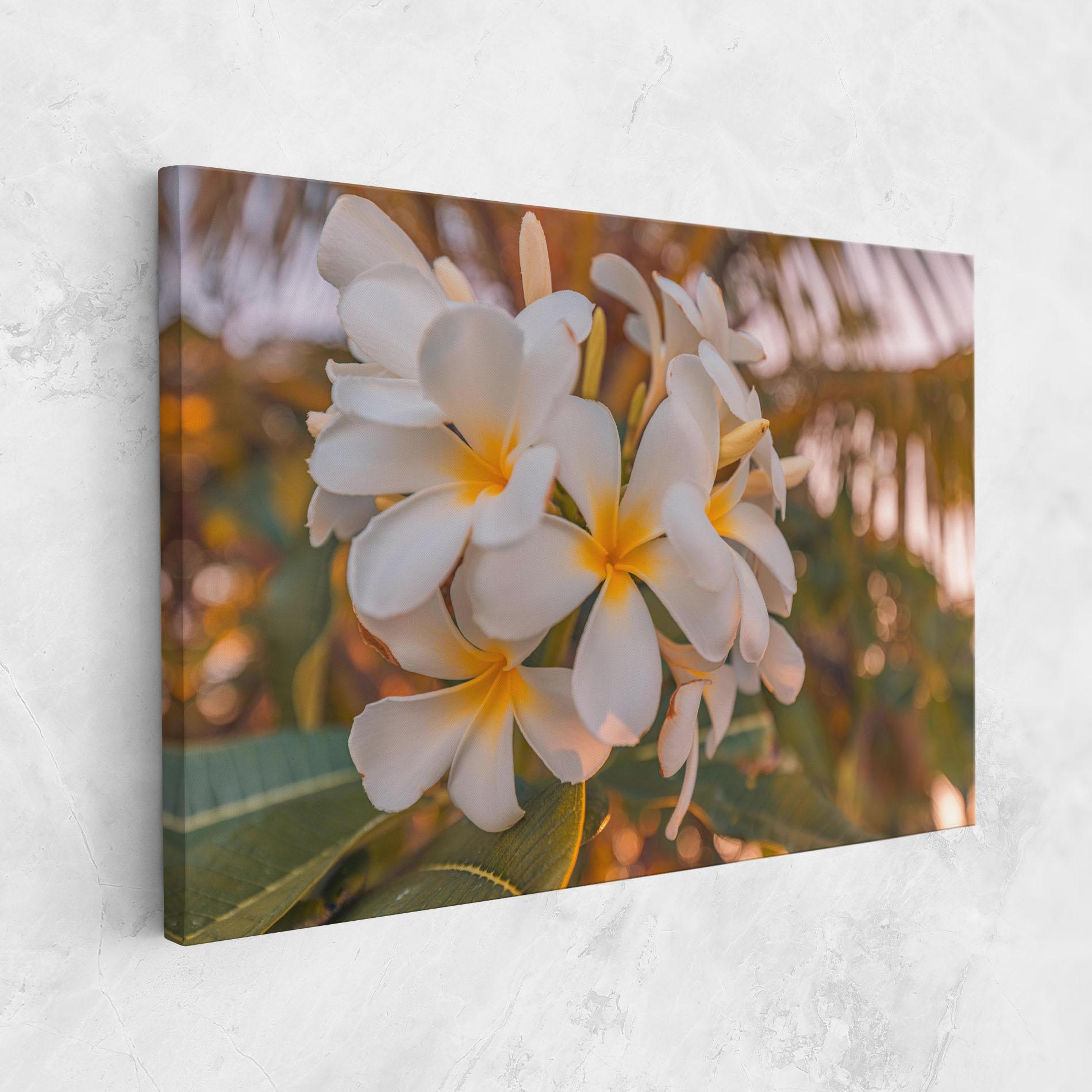Vászonkép White Plumeria mockup 1