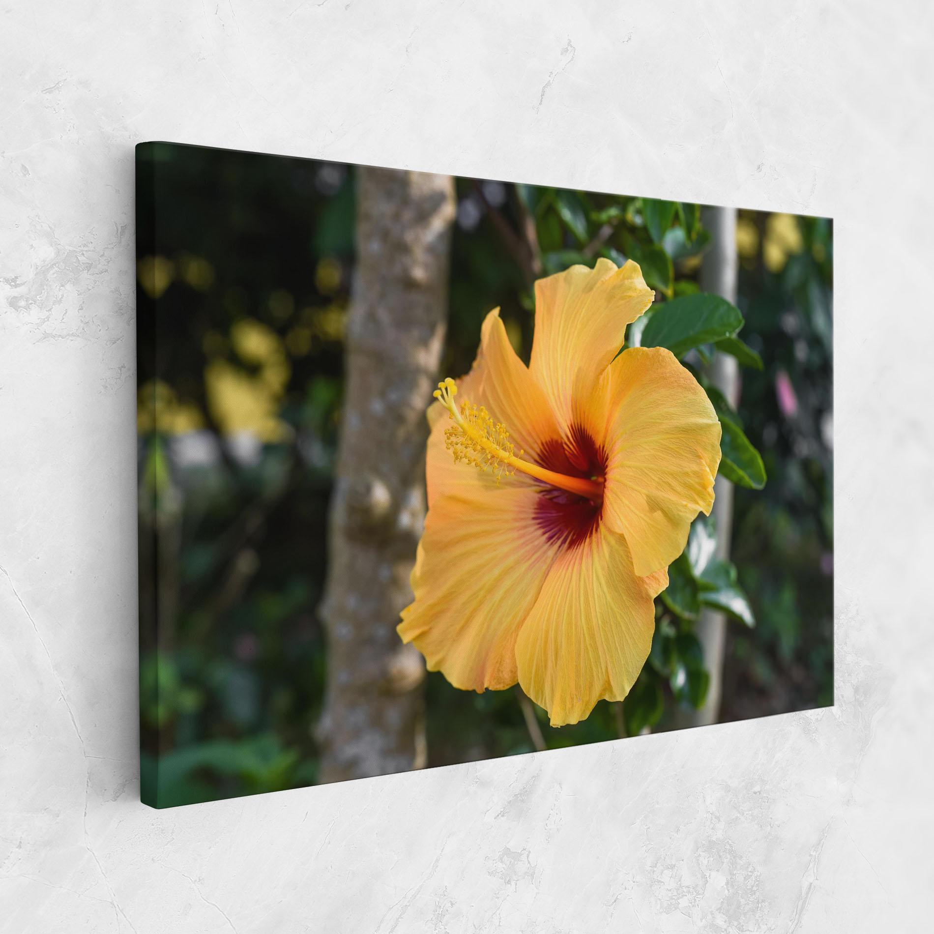 Vászonkép Yellow Hibiscus mockup 1