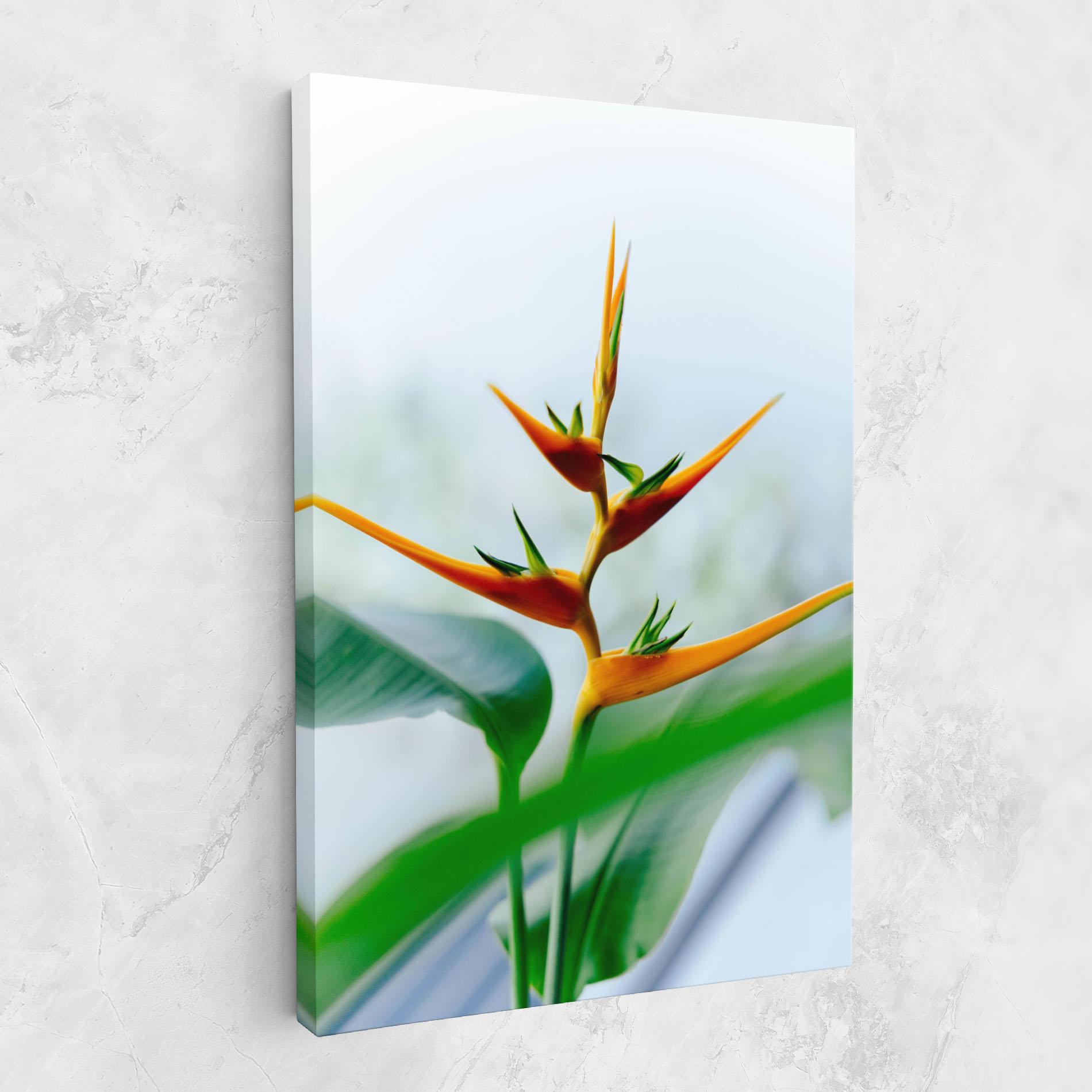 Vászonkép Exotic Orange Green mockup 1