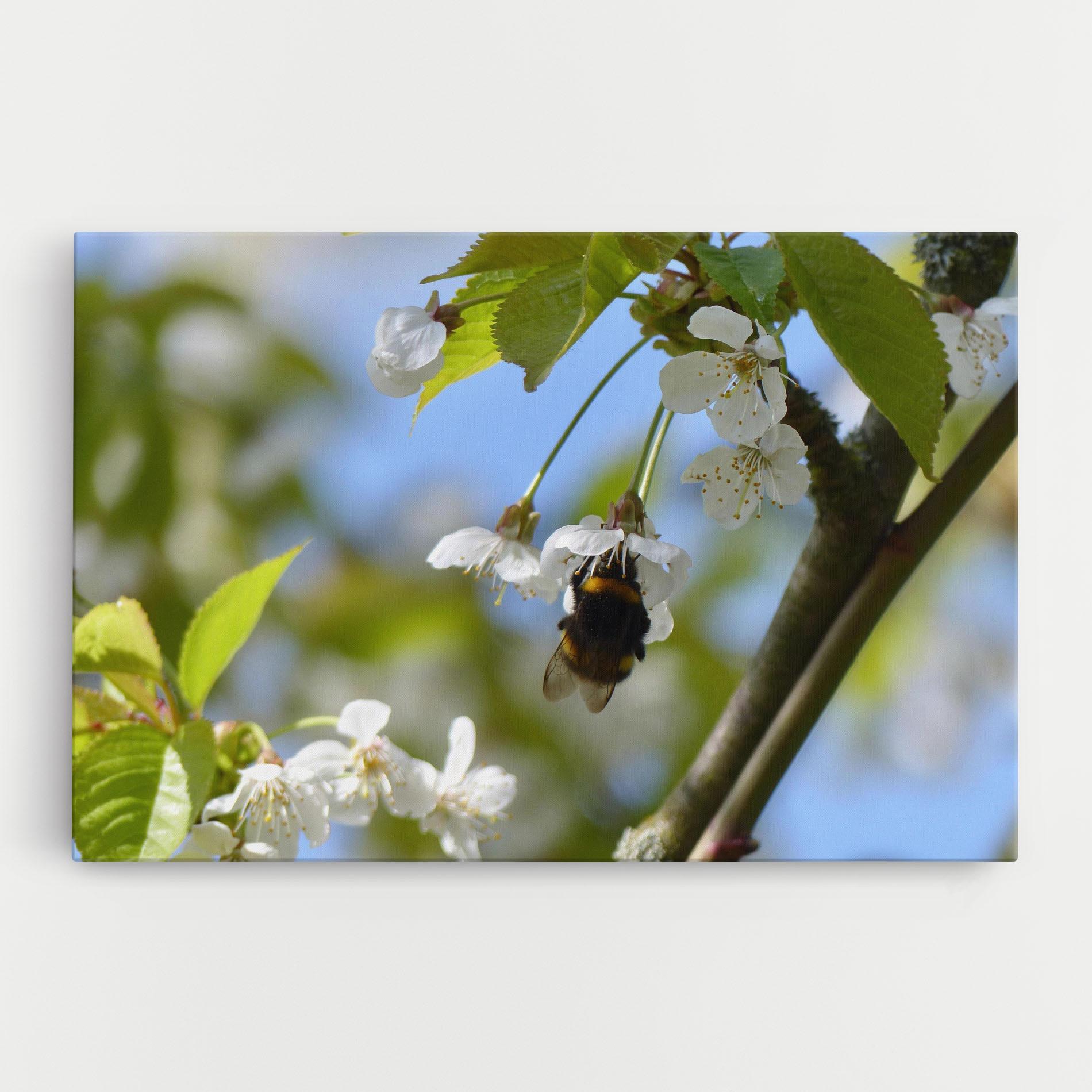 Vászonkép Bee Wild Tree mockup 0