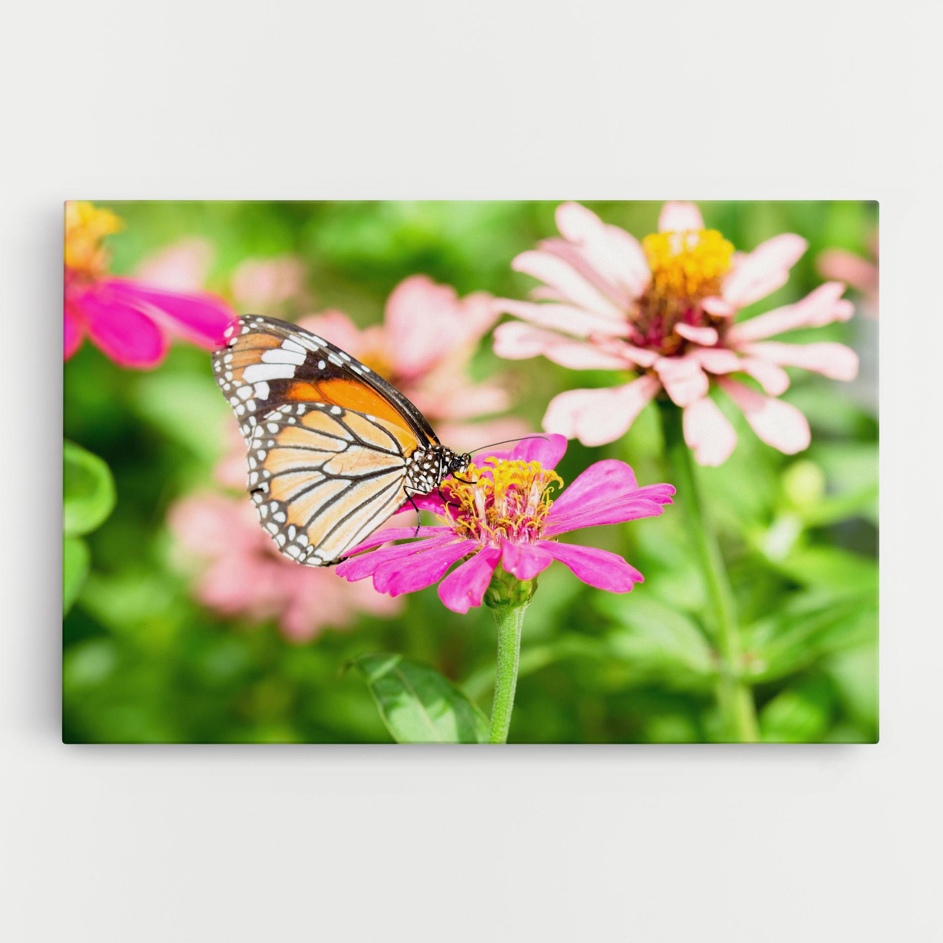 Vászonkép Daylight Butterfly mockup 0
