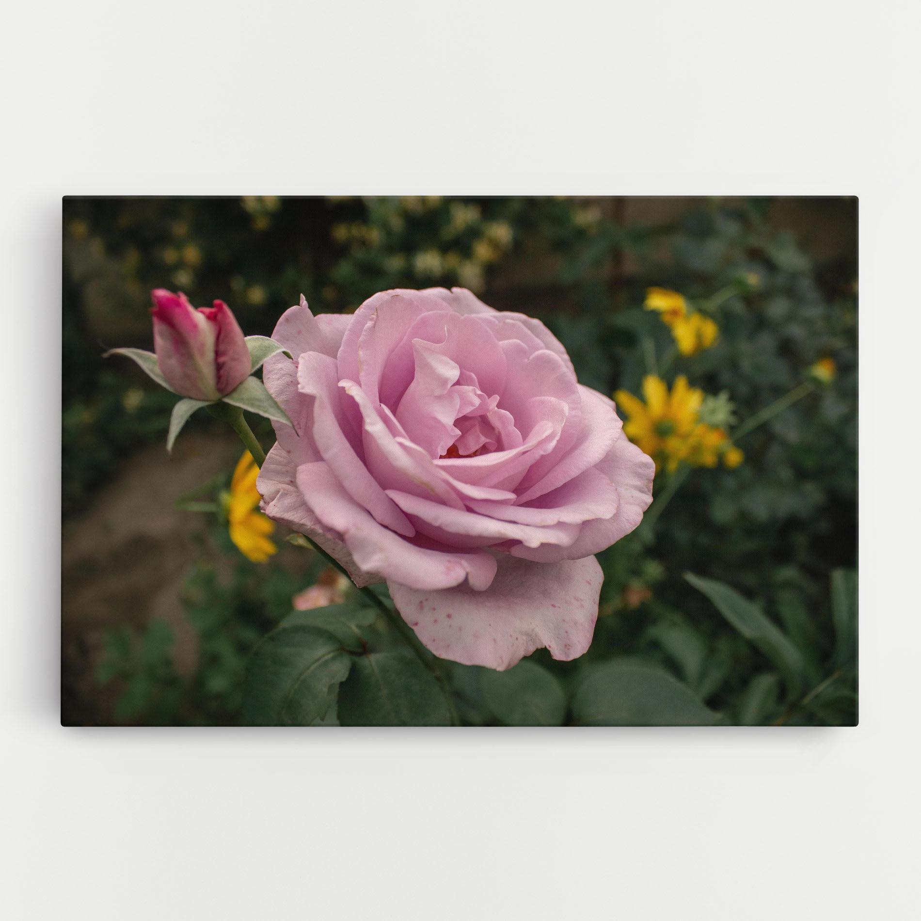 Vászonkép Garden Pink Rose mockup 0