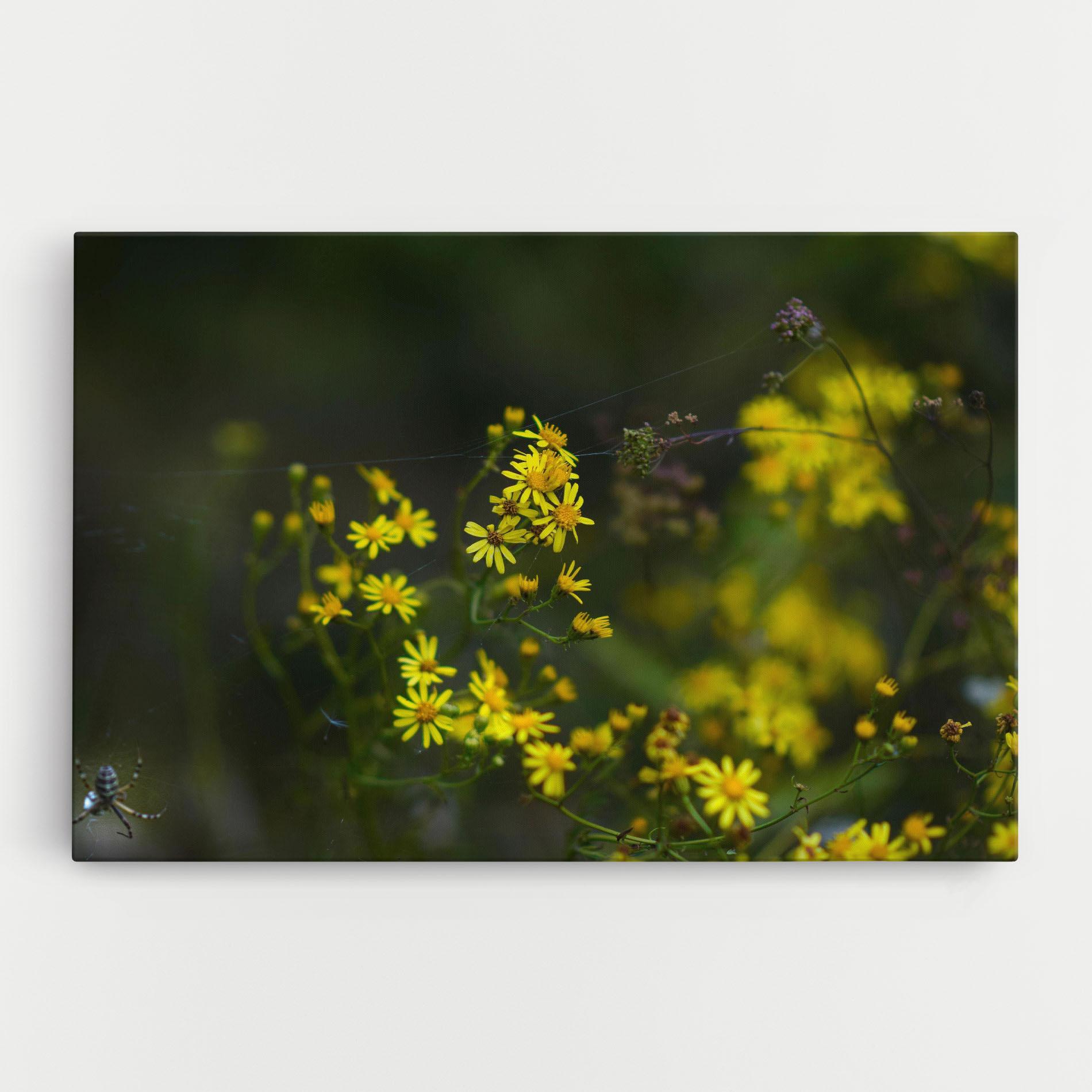 Vászonkép Small Wild Flowers mockup 0