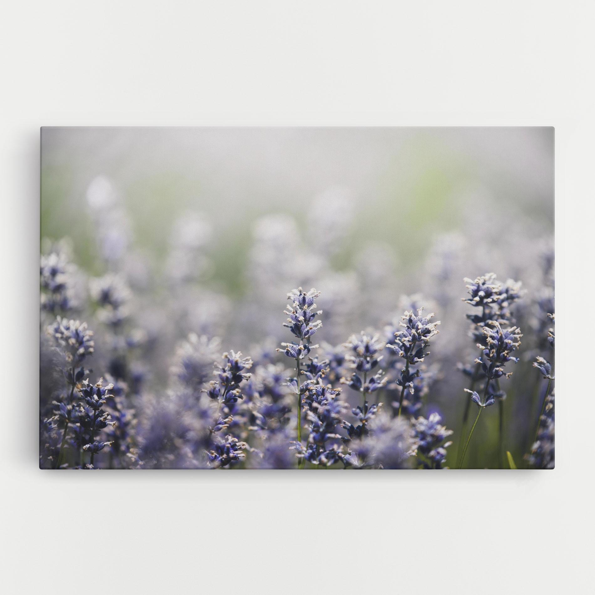 Vászonkép White Purple Wild mockup 0