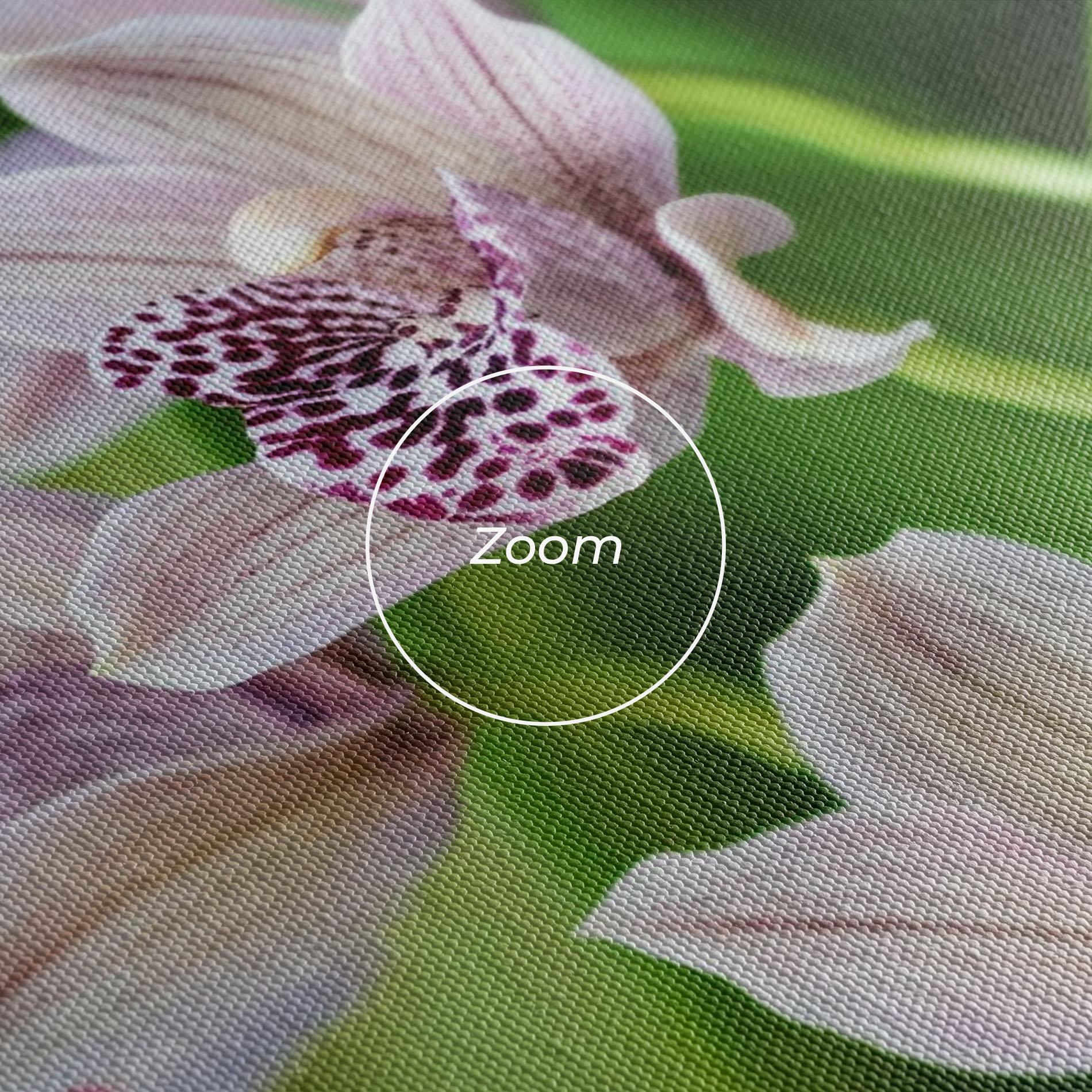 Vászonkép Cymbidium Orchid mockup 3