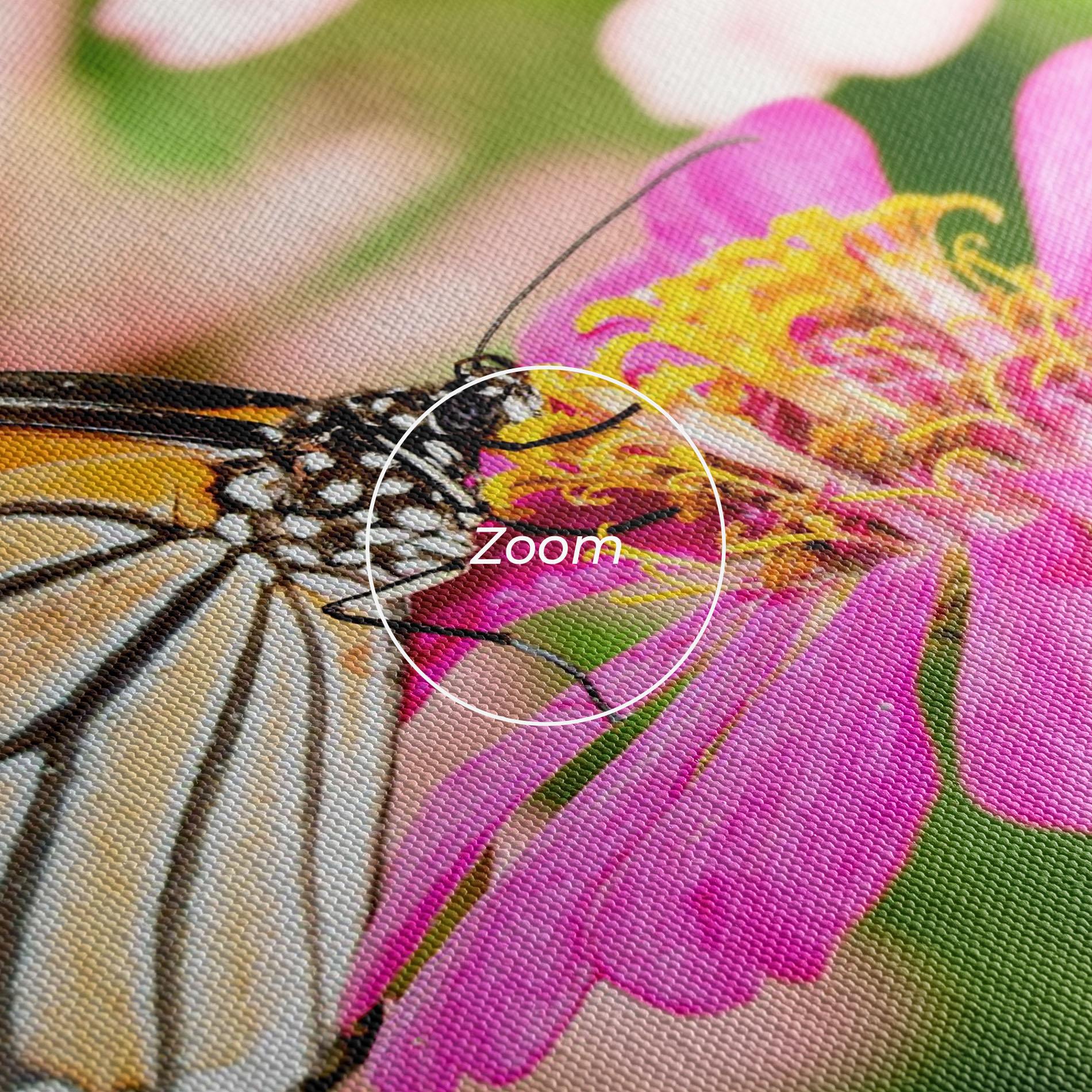 Vászonkép Daylight Butterfly mockup 3