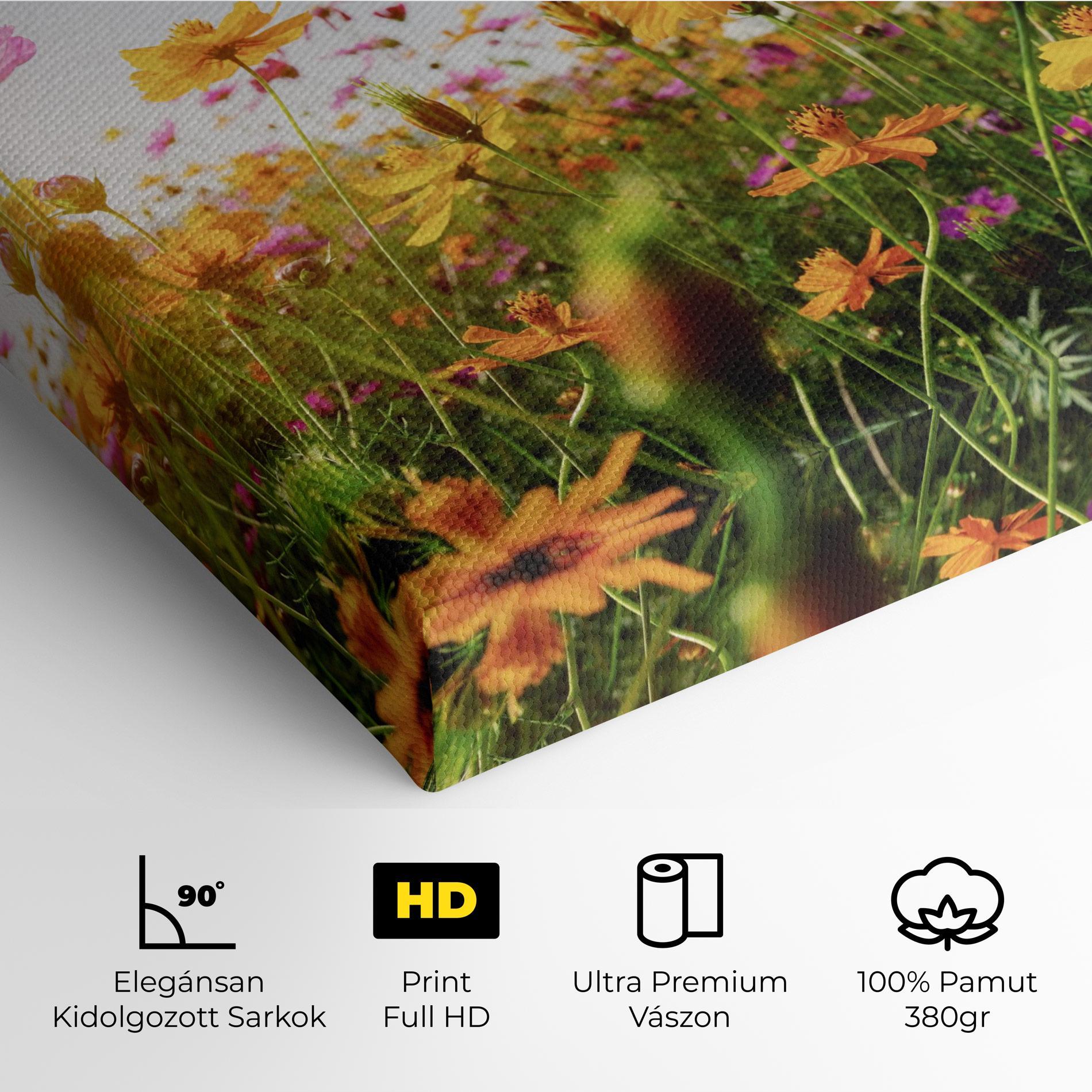 Vászonkép Cosmos Field Sunset mockup 4