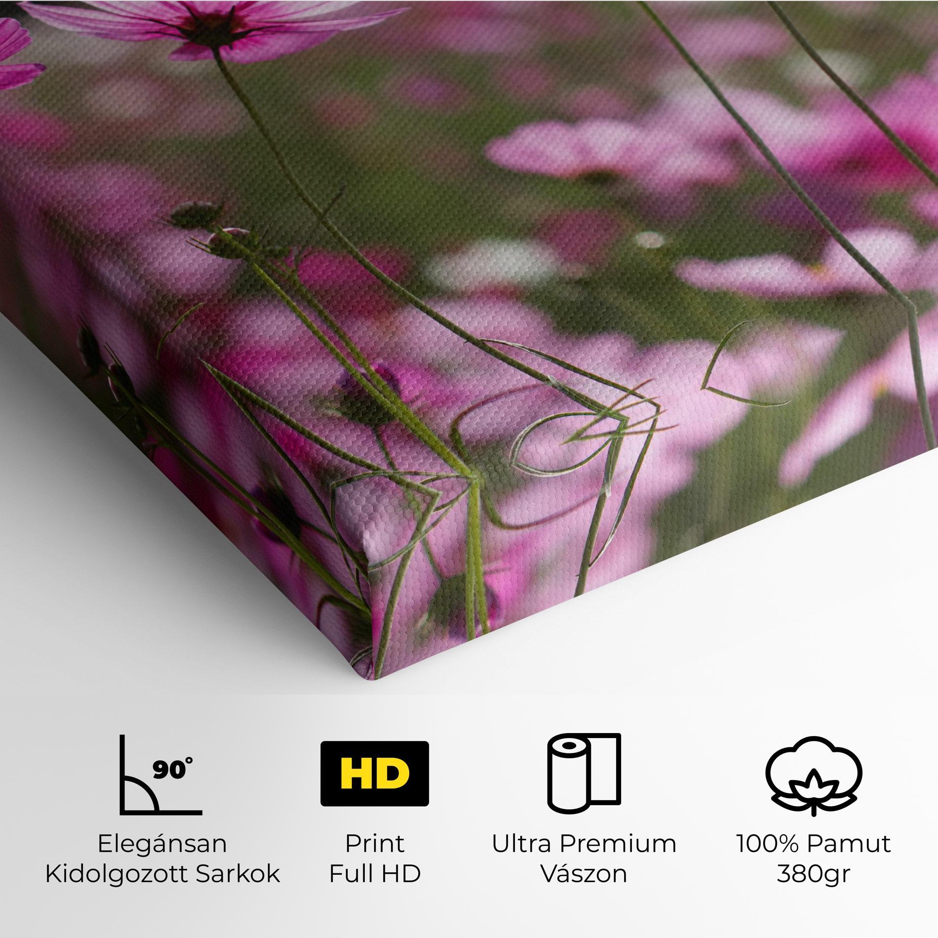 Vászonkép Cosmos Flower mockup 4