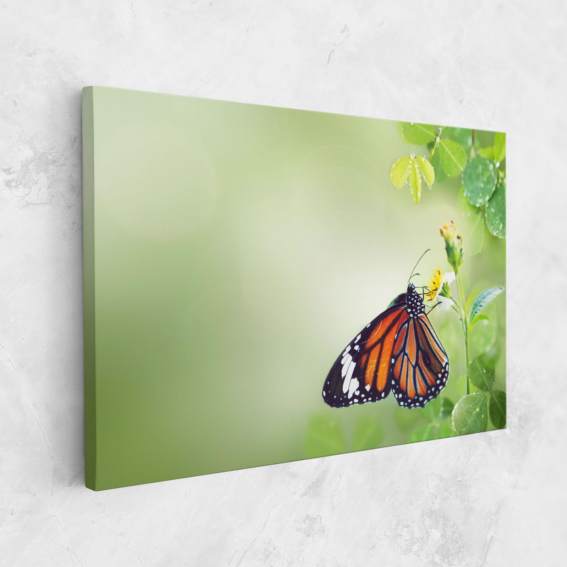Vászonkép Butterfly Wild Plant mockup 1
