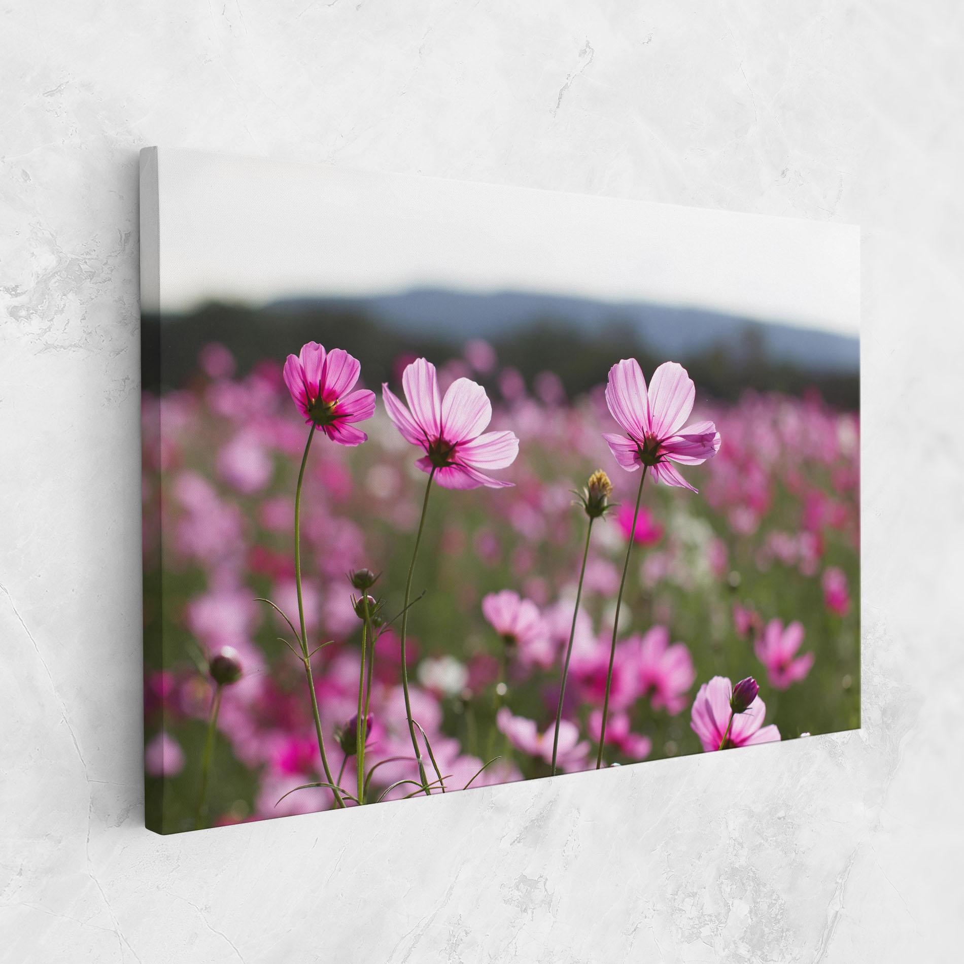 Vászonkép Cosmos Flower mockup 1
