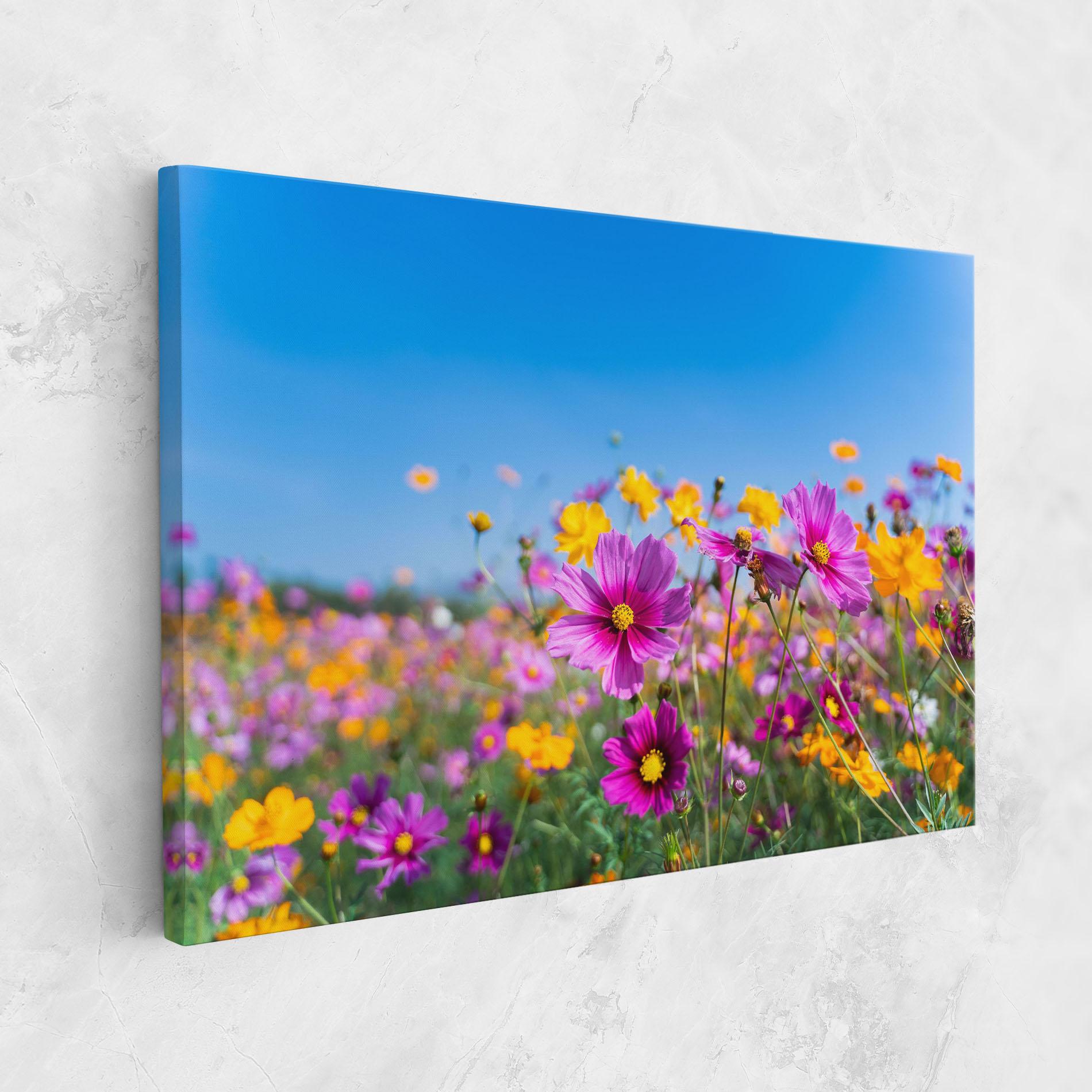 Vászonkép Cosmos Flowers Grassland mockup 1