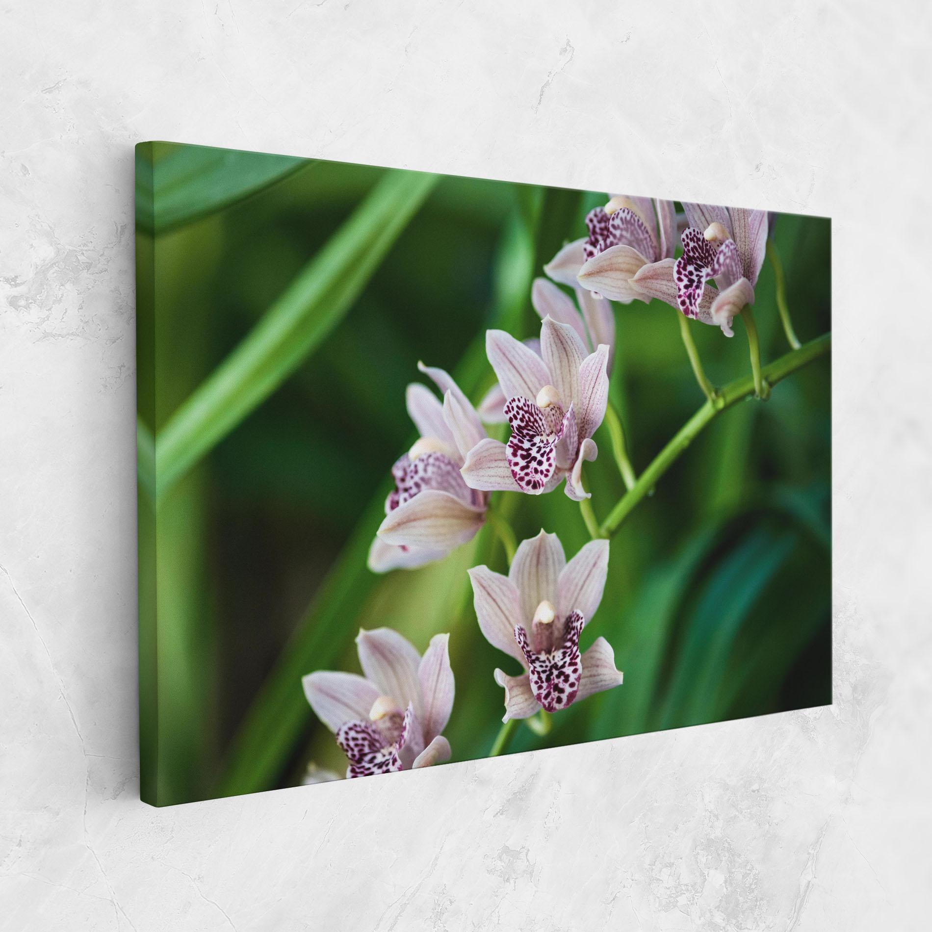 Vászonkép Cymbidium Orchid mockup 1